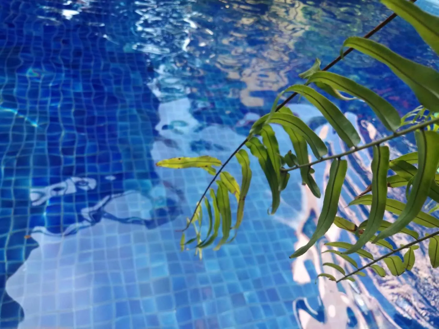 Swimming pool in Lanna Boutique Resort