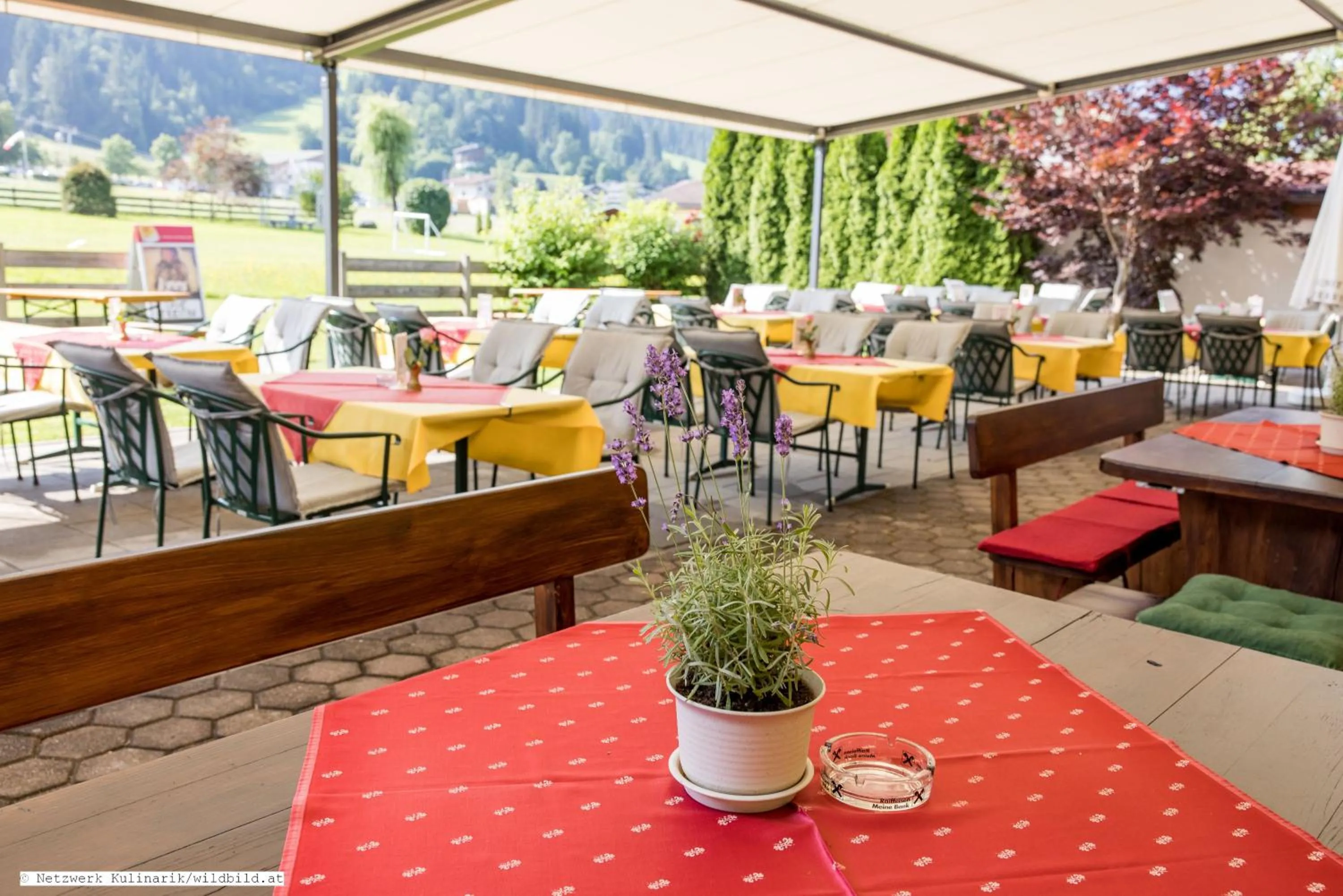 Restaurant/places to eat in Hotel Alpenhof