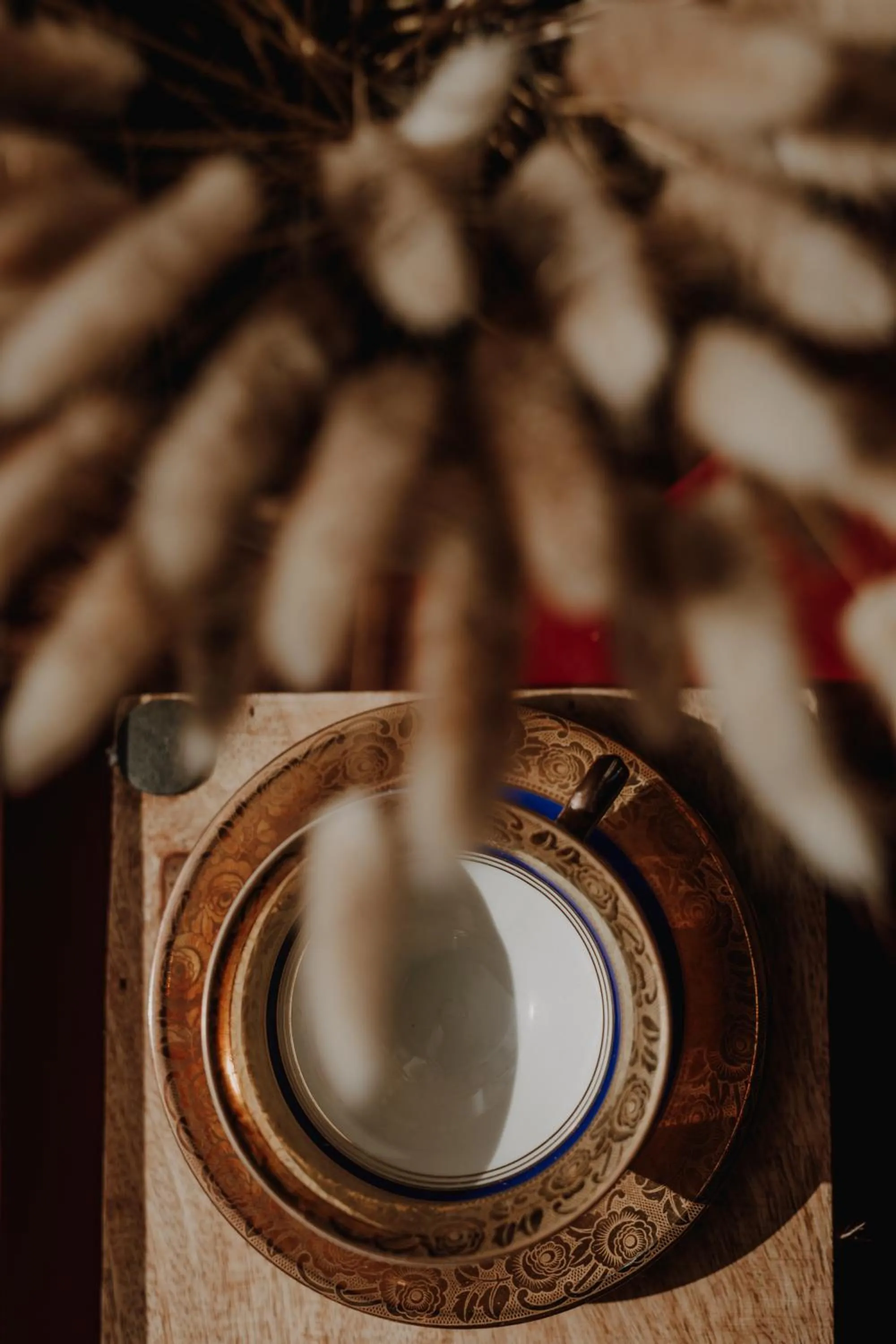 Restaurant/places to eat in Hotel zur Treene