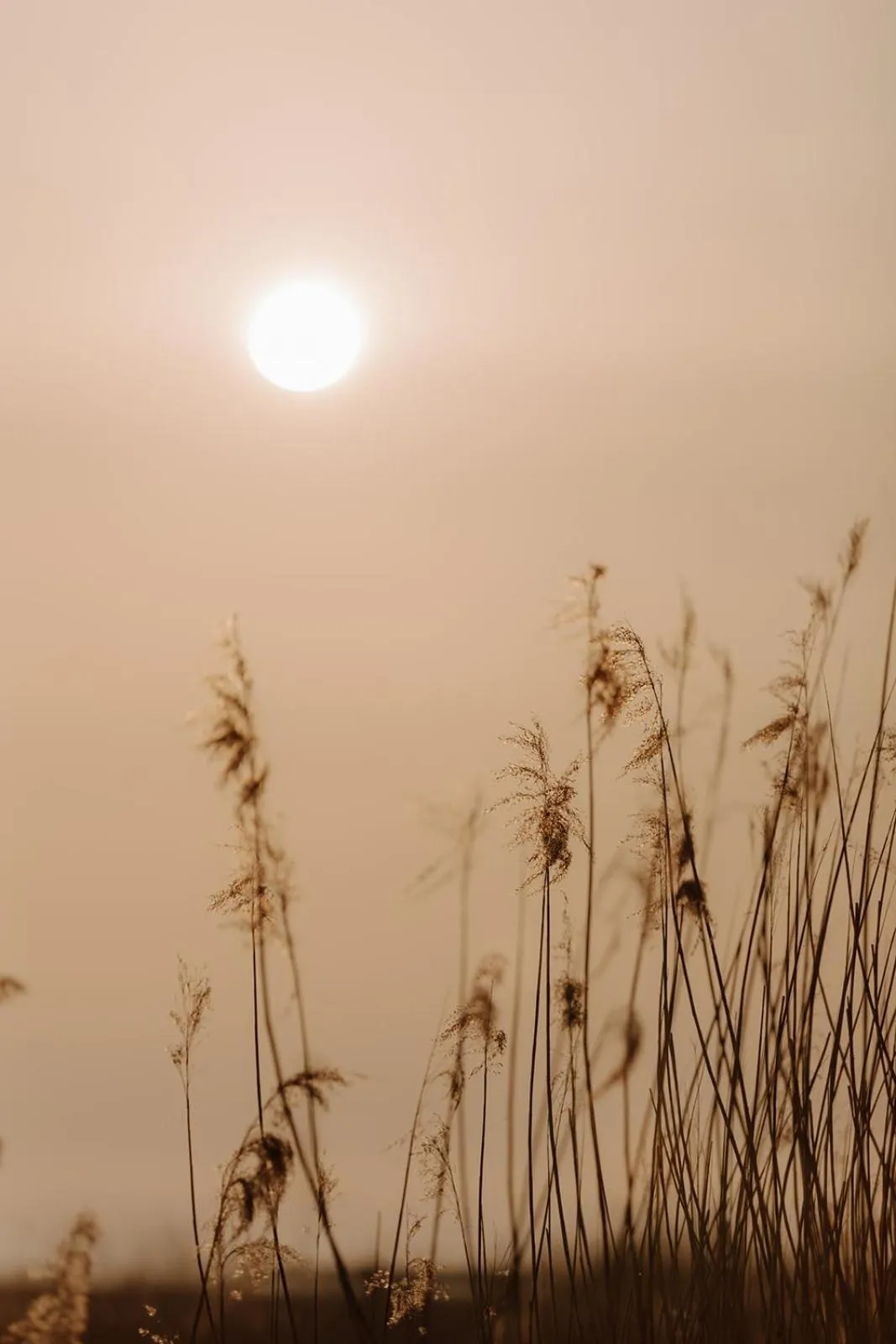 Natural landscape in Hotel zur Treene