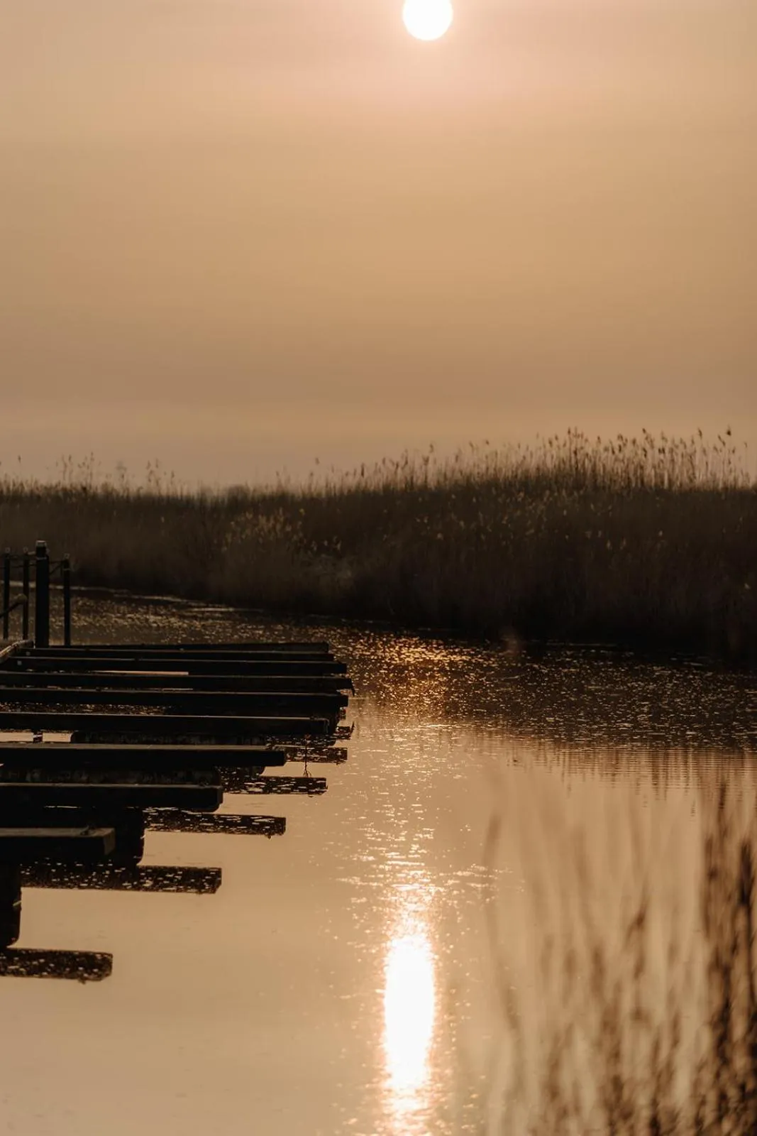 Natural landscape in Hotel zur Treene