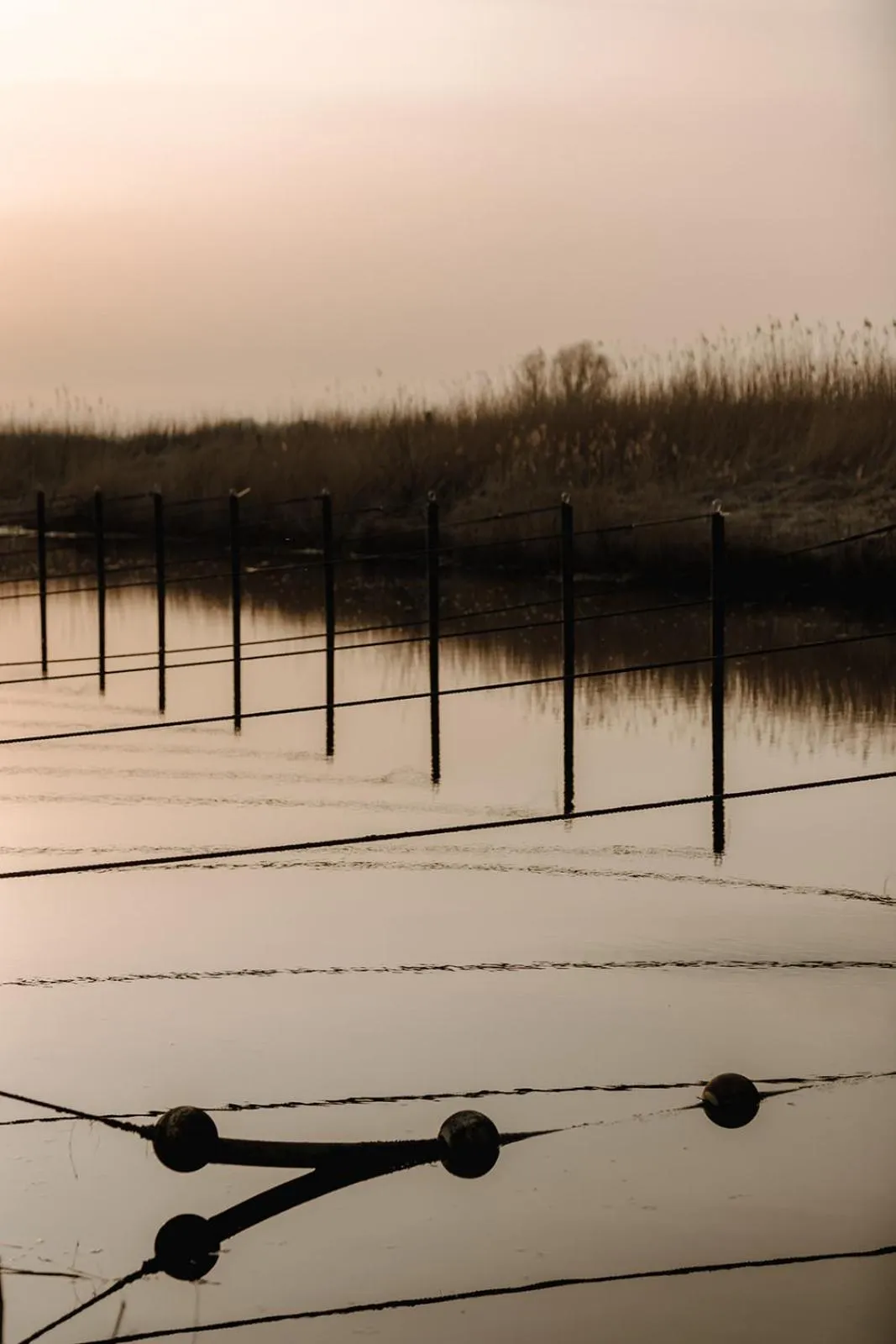 Natural landscape in Hotel zur Treene