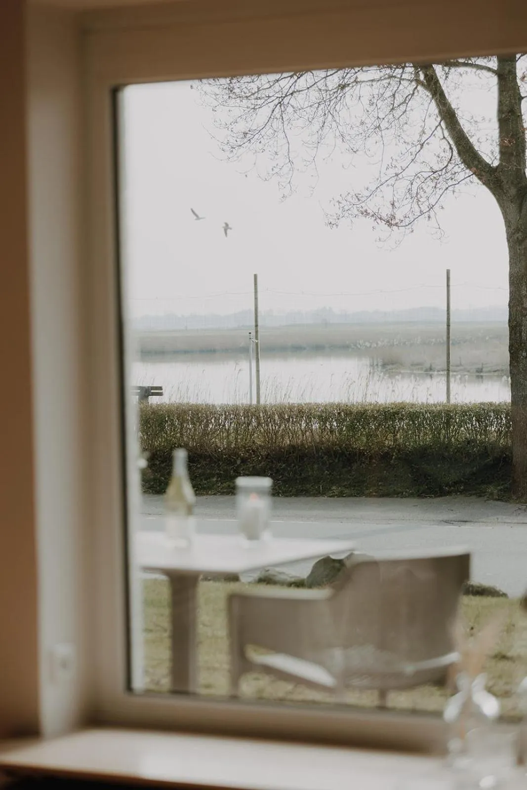 View (from property/room) in Hotel zur Treene