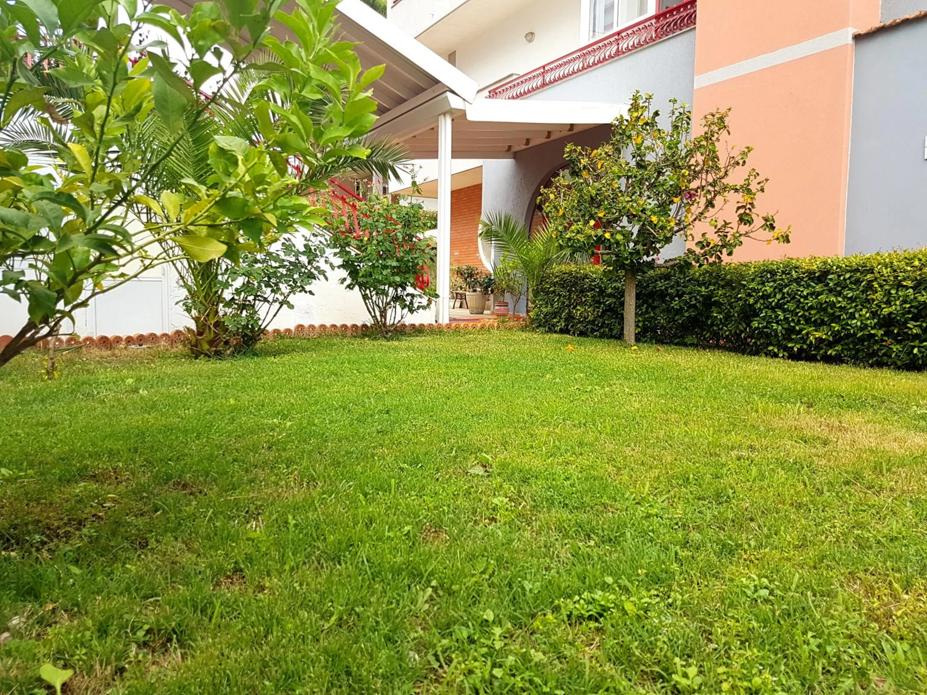 Garden in Hotel Alexander