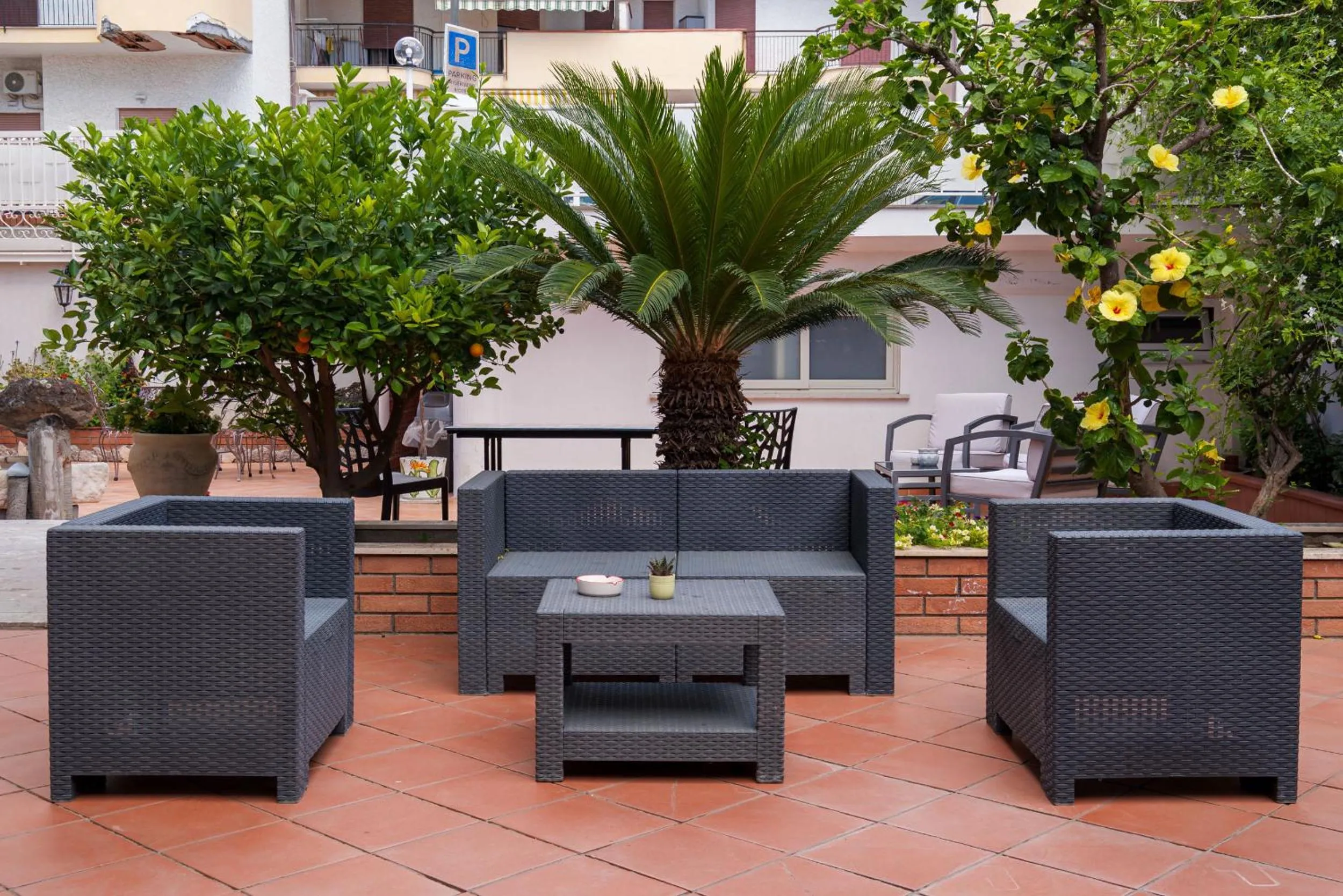 Garden in Hotel Alexander