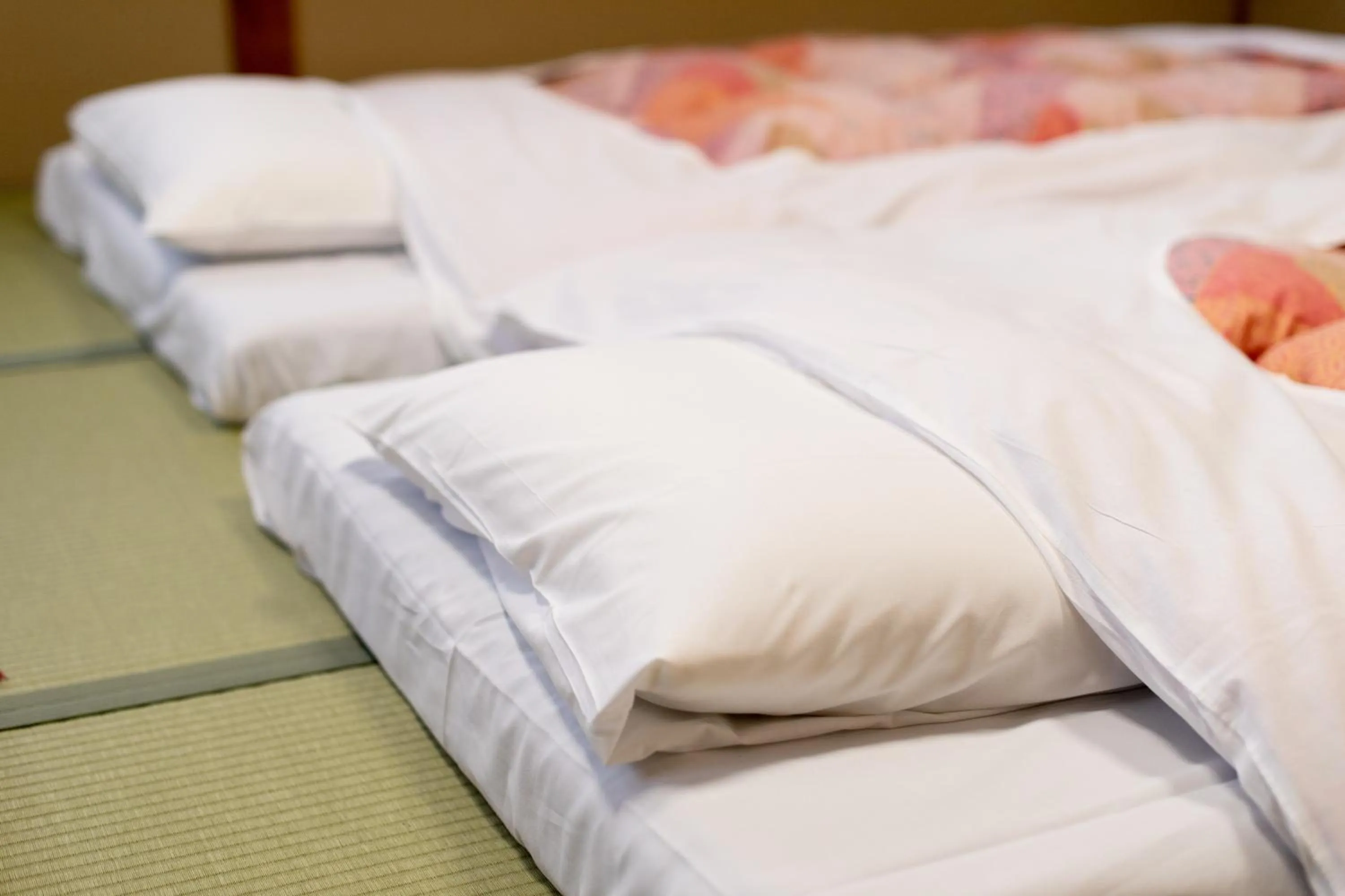 Photo of the whole room, Bed in Hotel Matsumoto Yorozuya