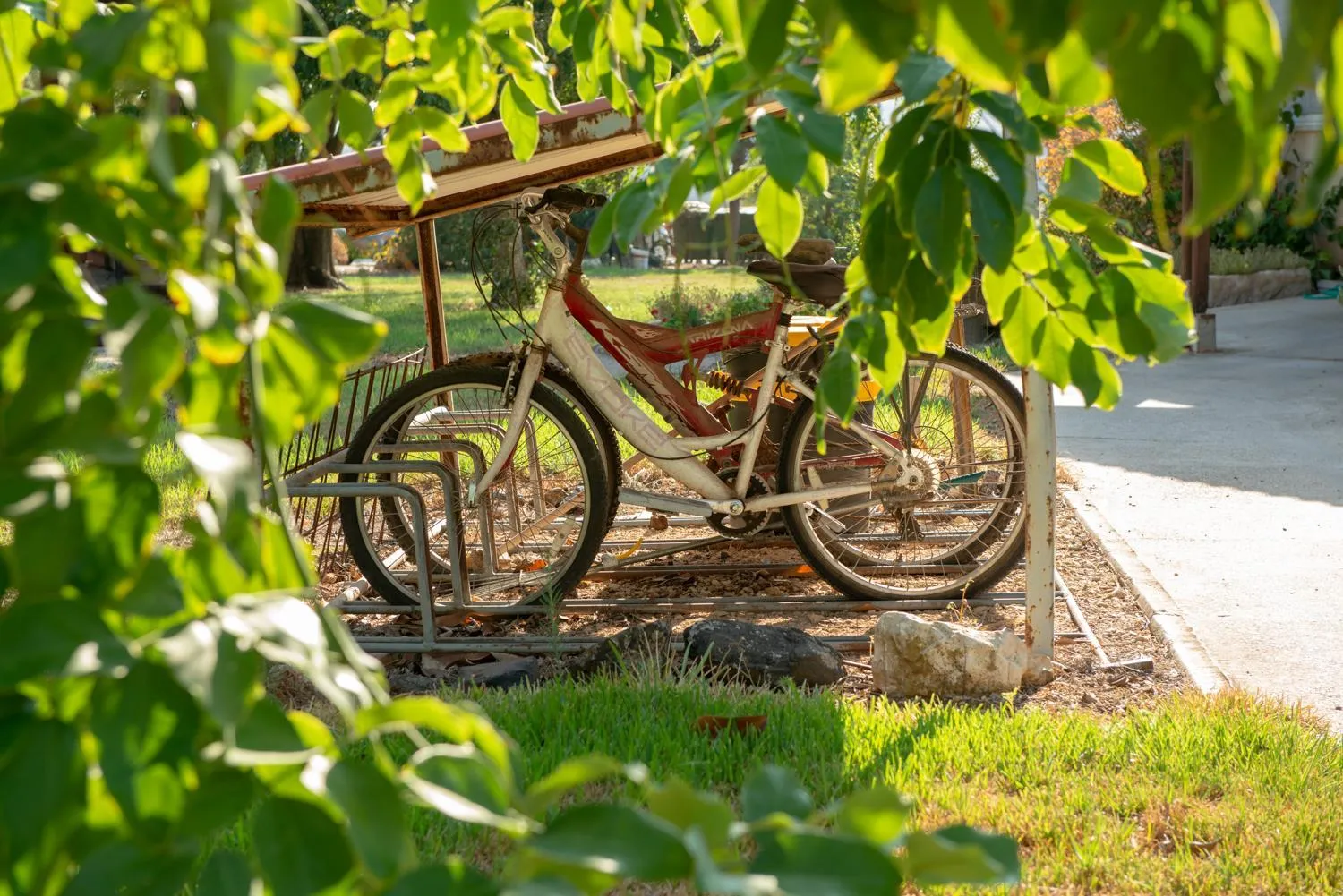 Garden in Holiday Village Kibbutz Mizra