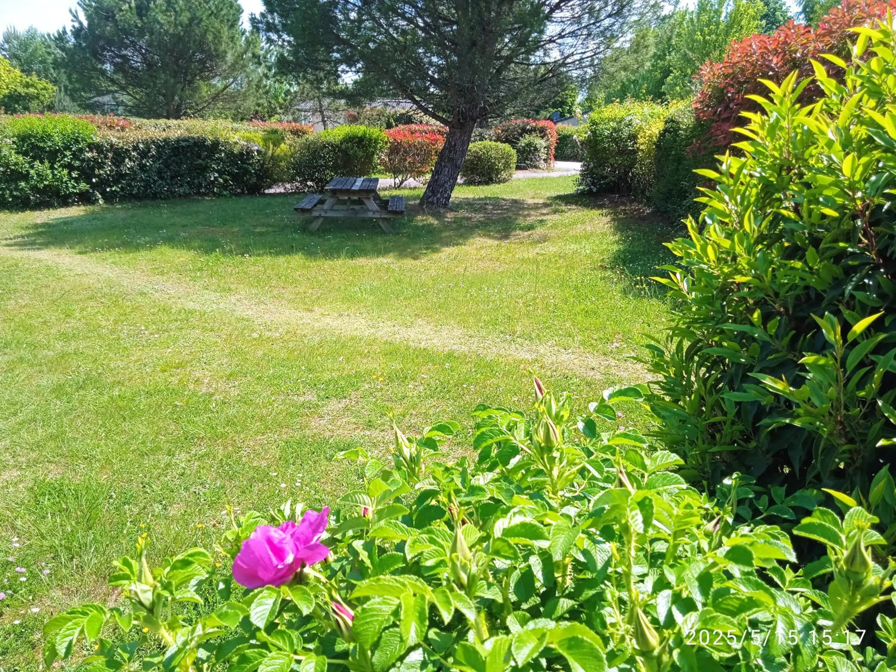 Garden in Terres de France - Les Hameaux de Miel
