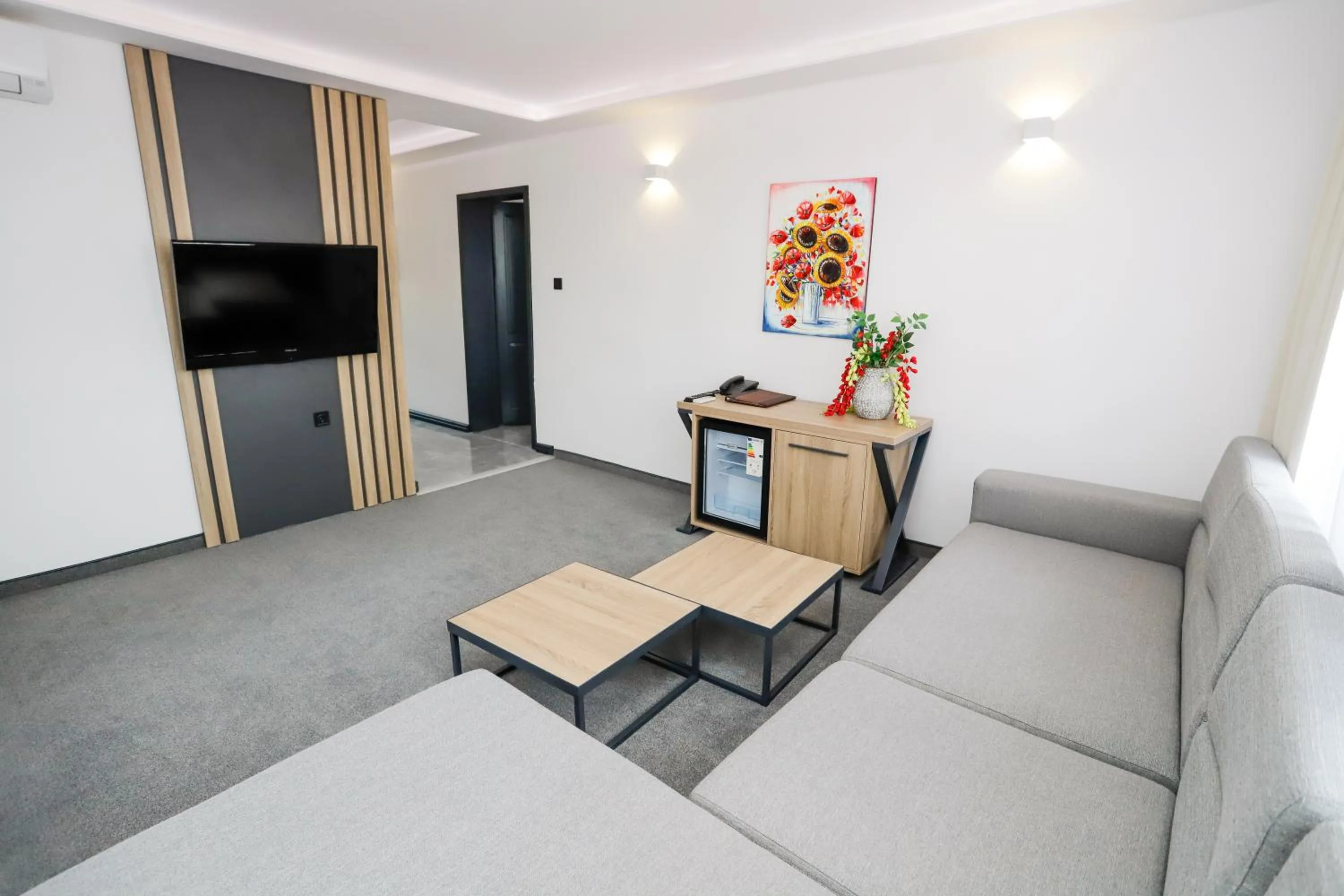 Communal lounge/ TV room in Glavatarski Han