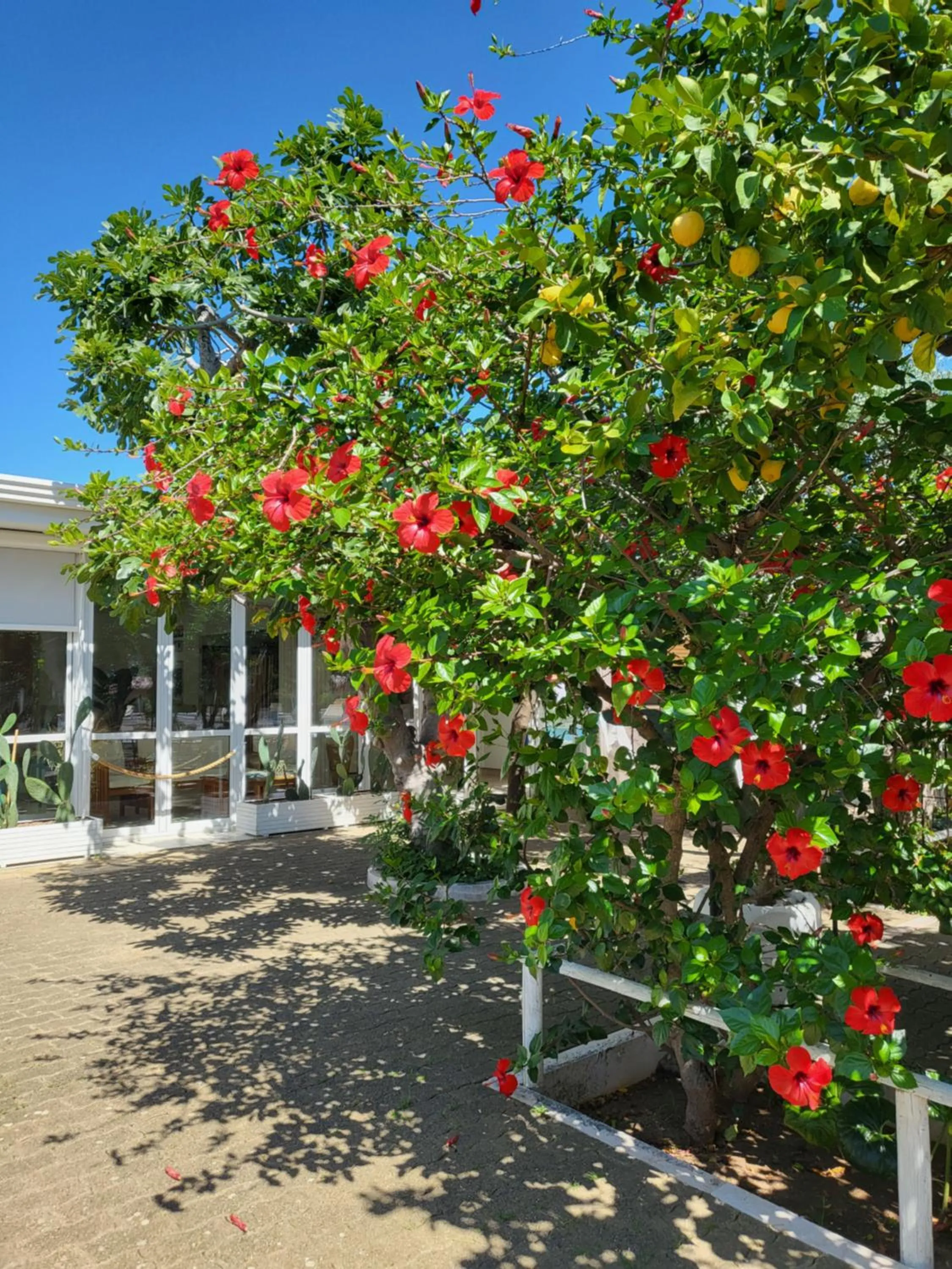 Natural landscape in Hotel Residence Torre Del Porto