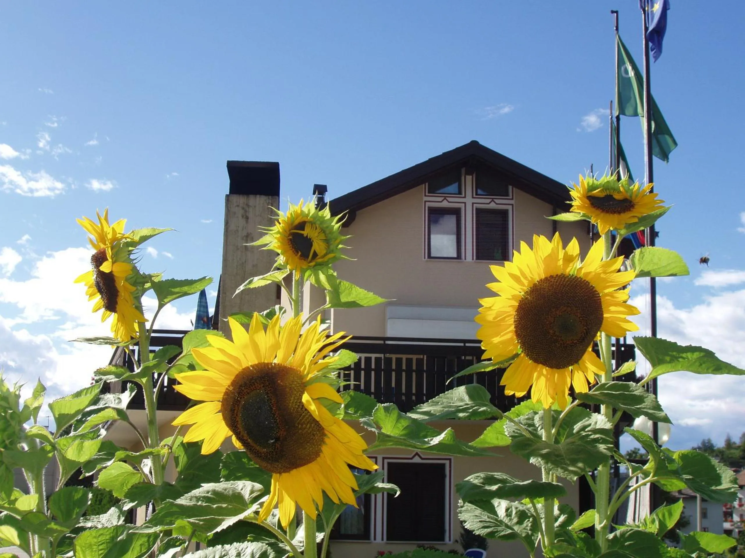 Decorative detail in Hotel Olimpic