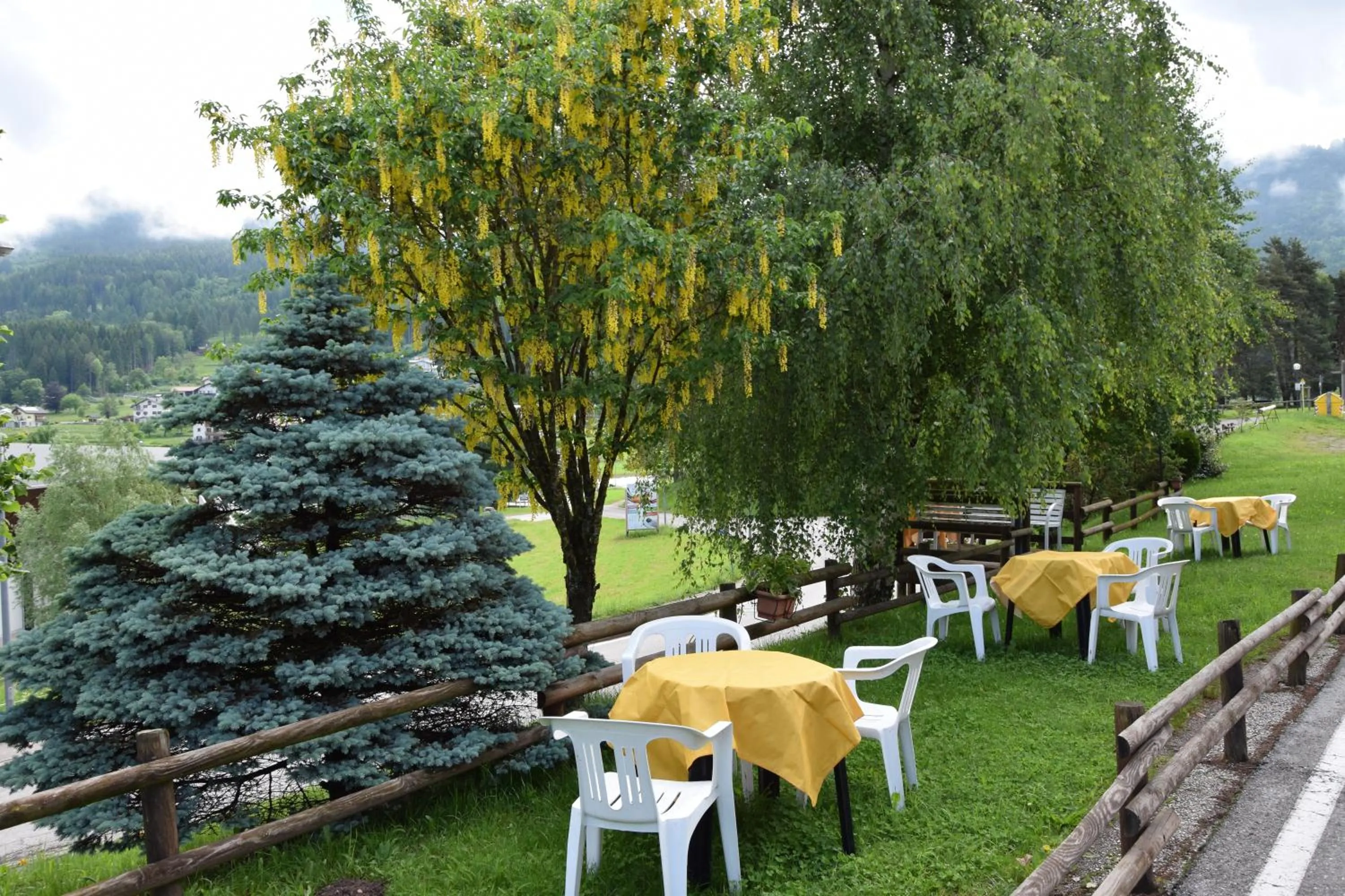 Garden in Hotel Olimpic