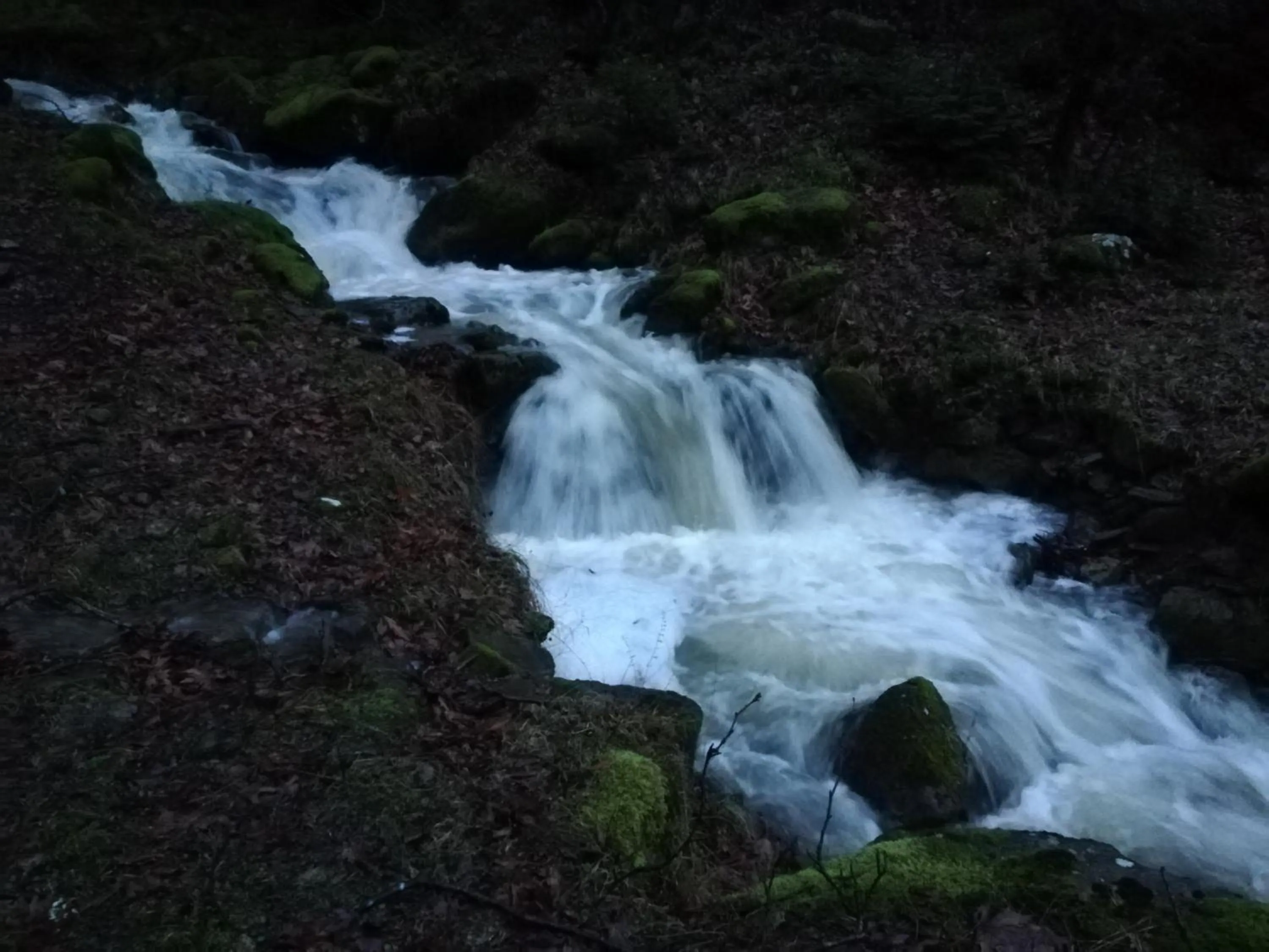 Natural landscape in Xenonas Kypseli