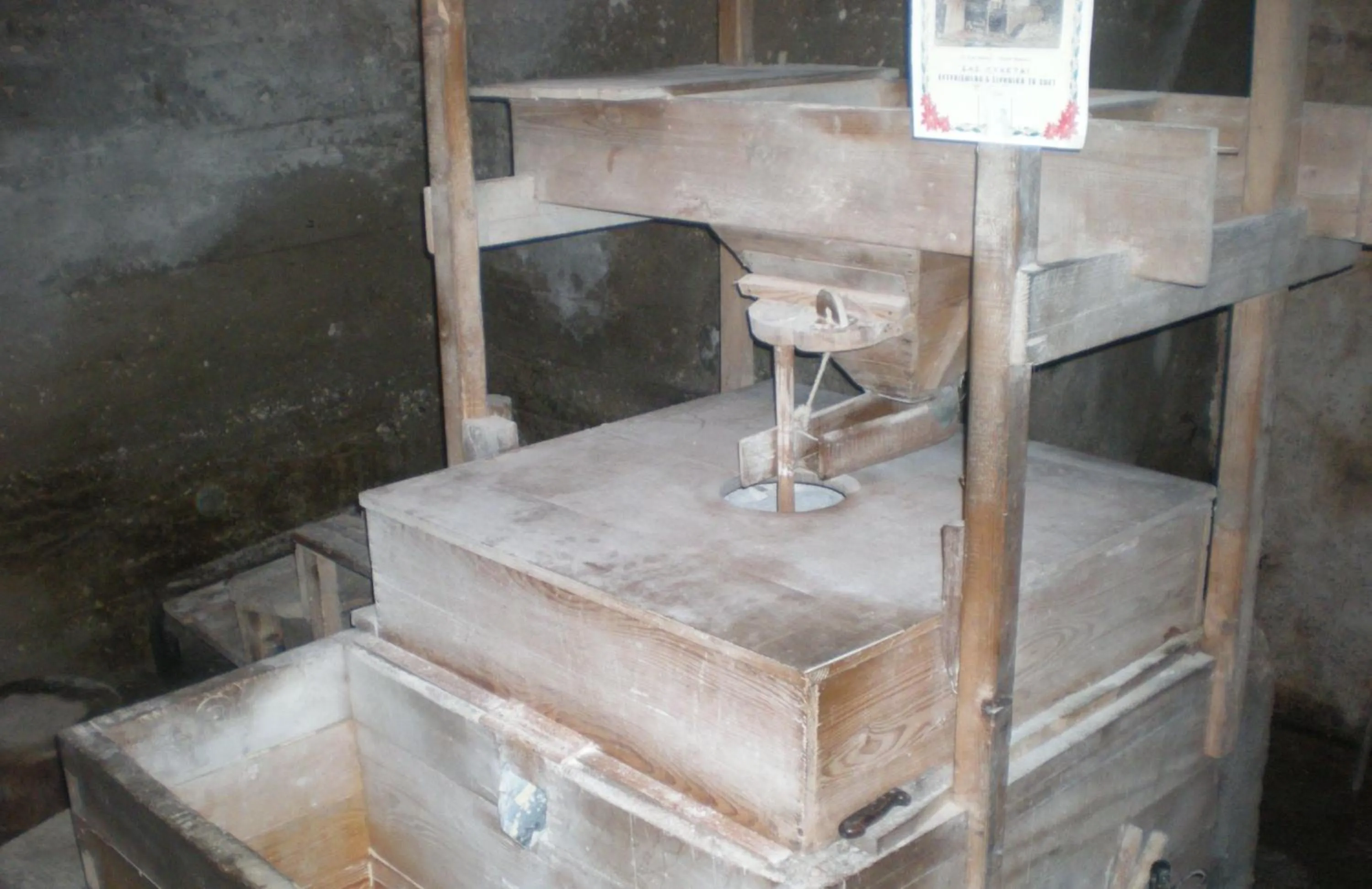 Activities in Xenonas Kypseli