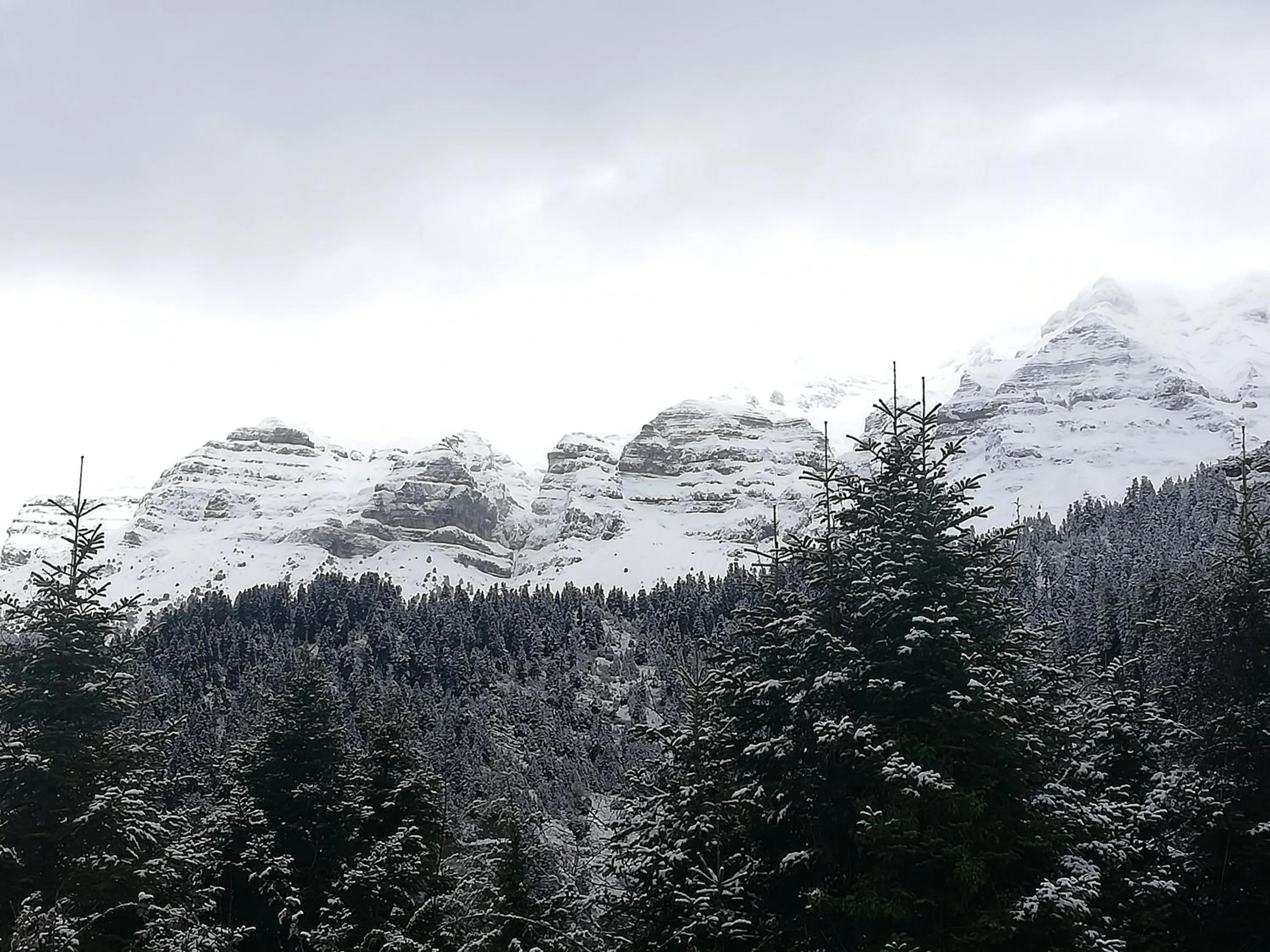 Day in Xenonas Kypseli