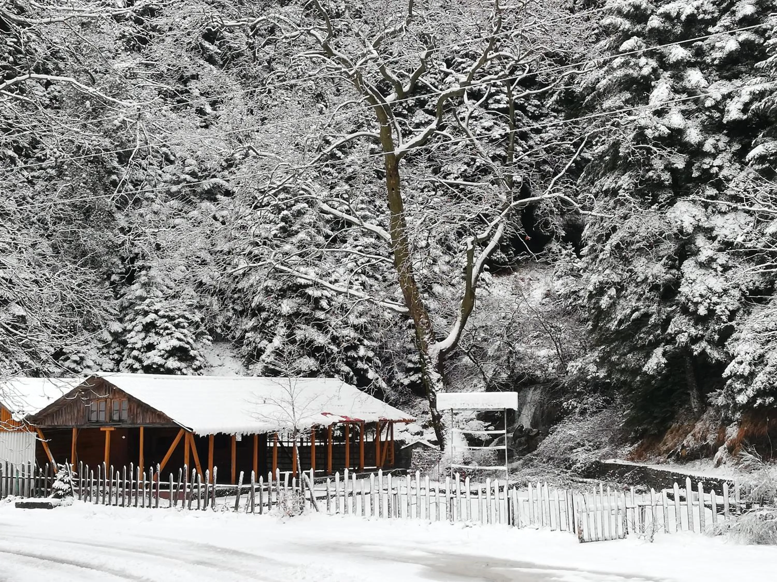 Day in Xenonas Kypseli