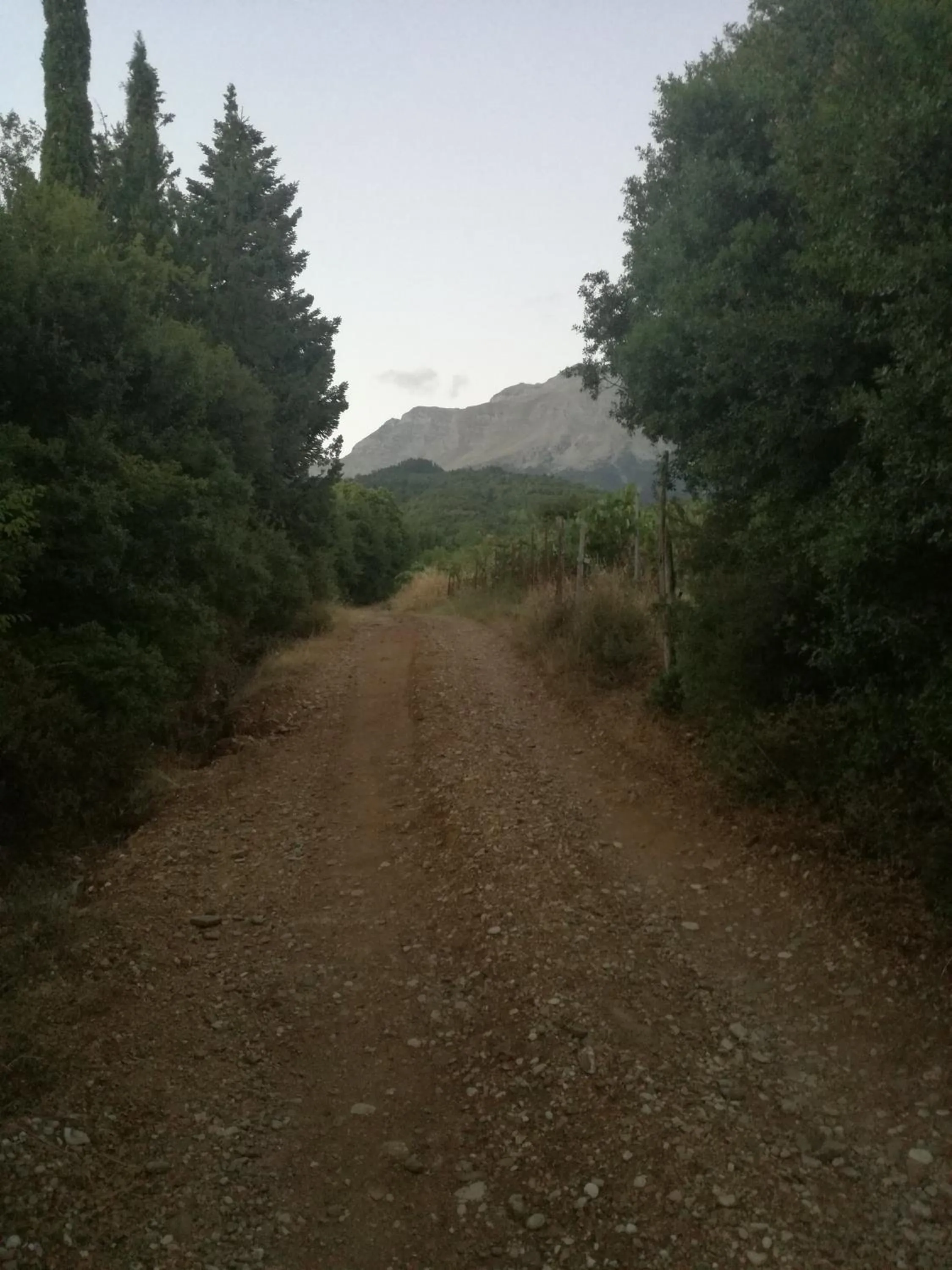 Other in Xenonas Kypseli