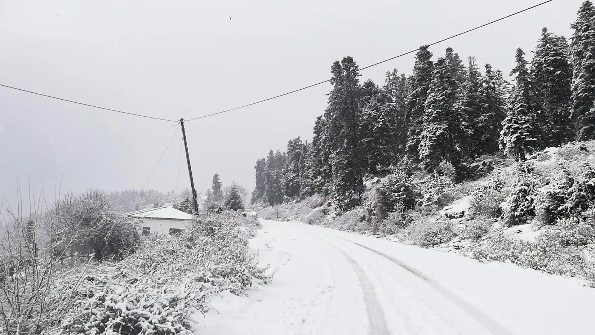 Natural landscape in Xenonas Kypseli