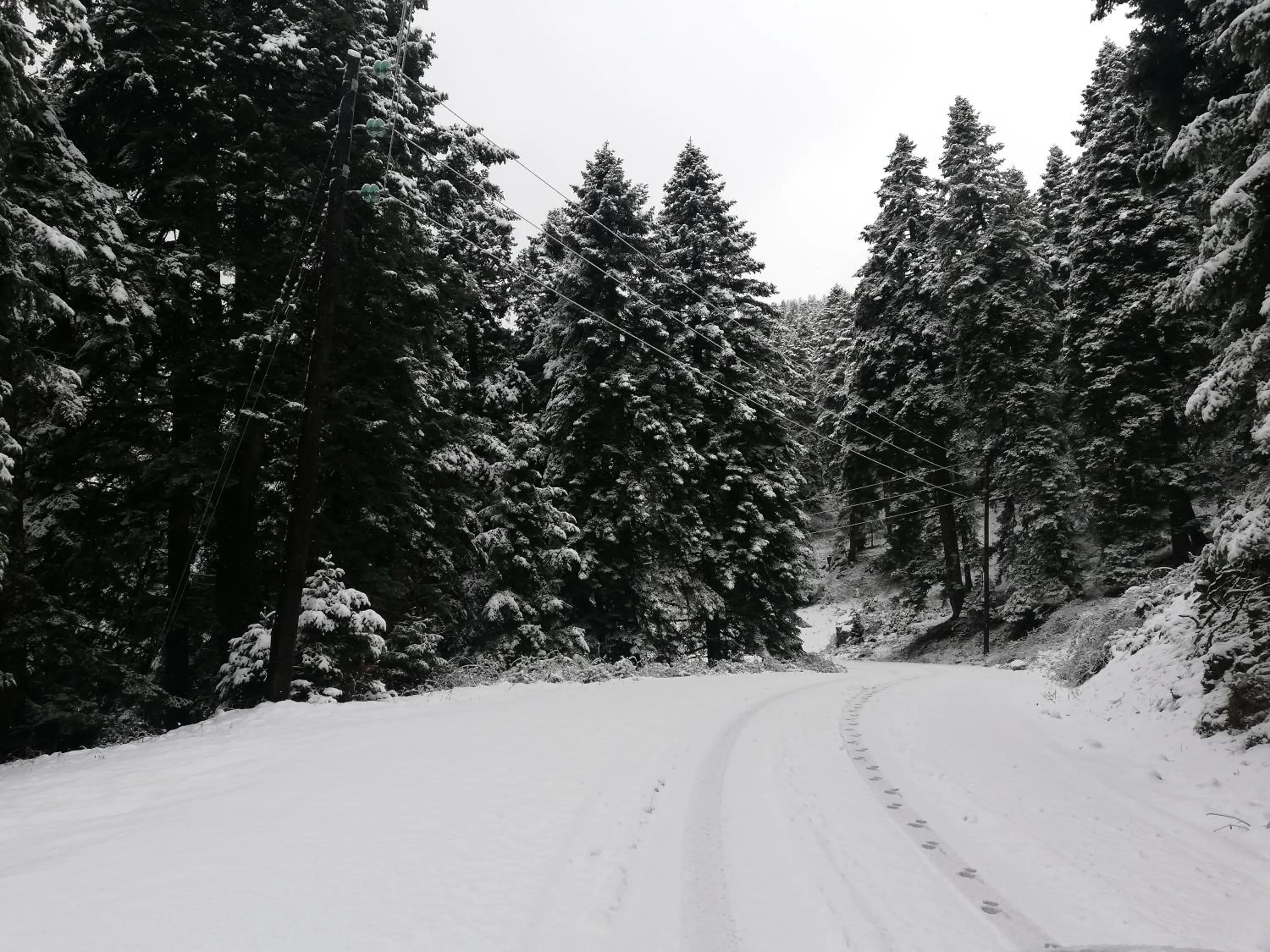 Day in Xenonas Kypseli