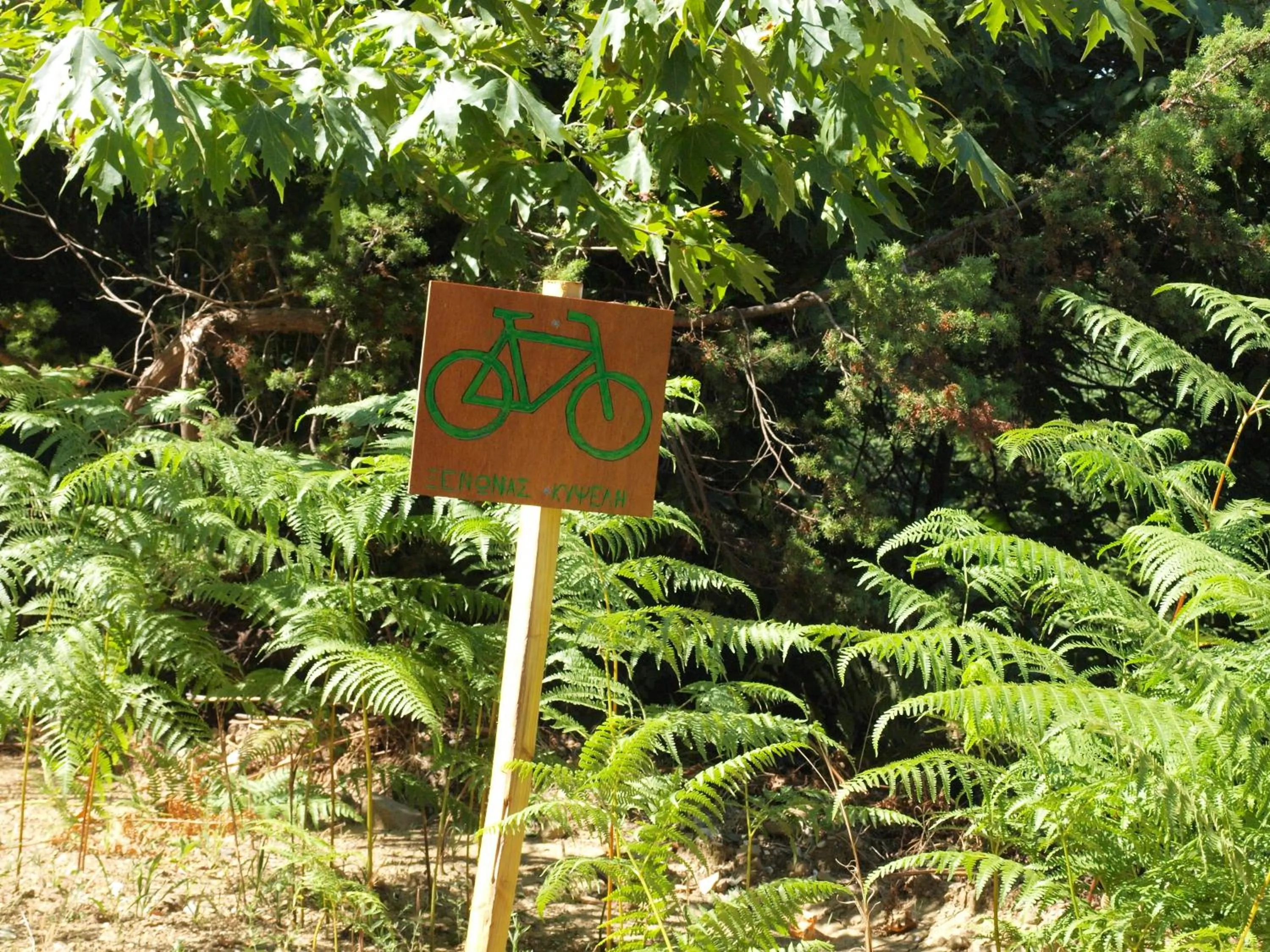 Cycling in Xenonas Kypseli