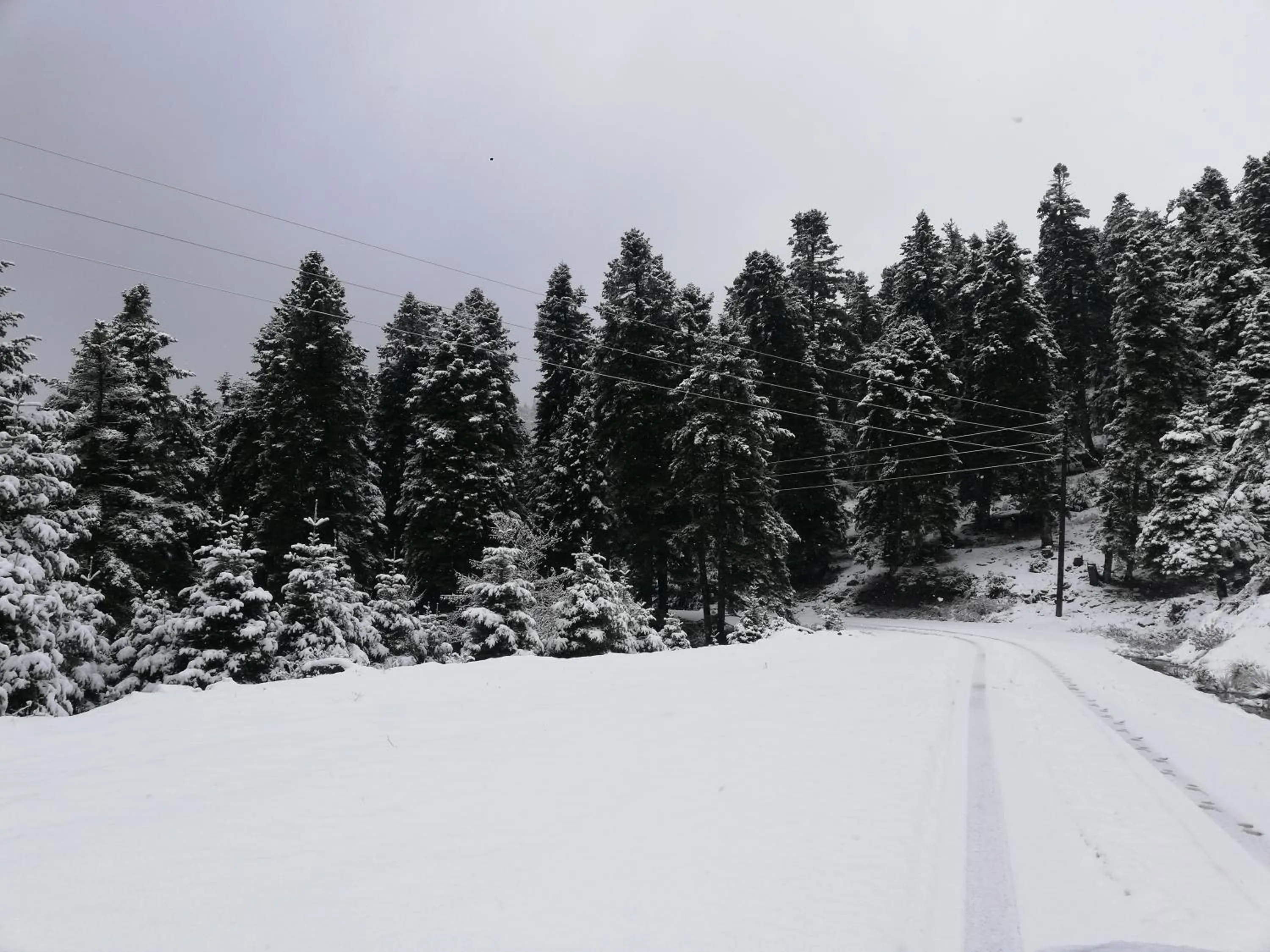 Natural landscape in Xenonas Kypseli