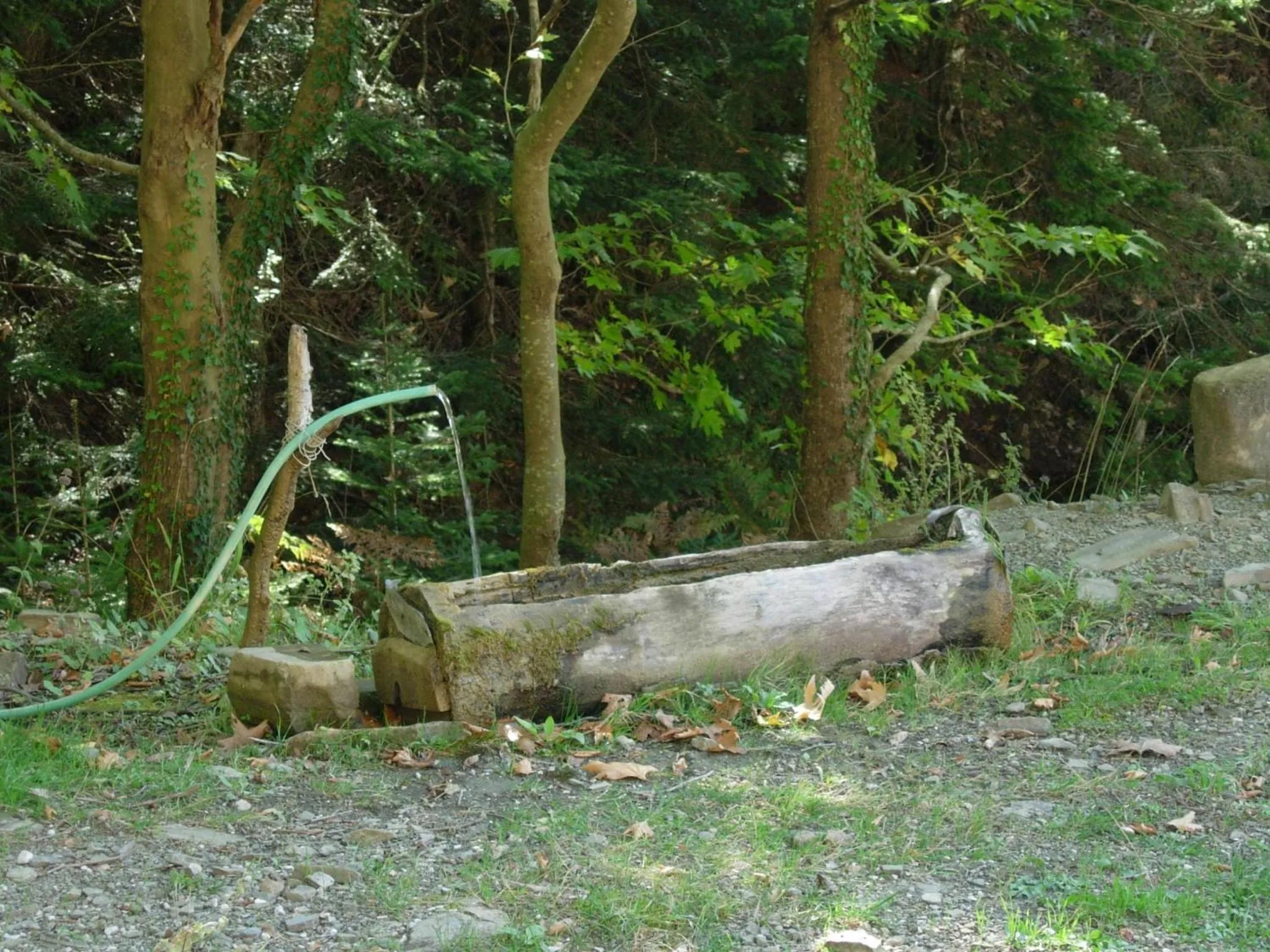 View (from property/room) in Xenonas Kypseli