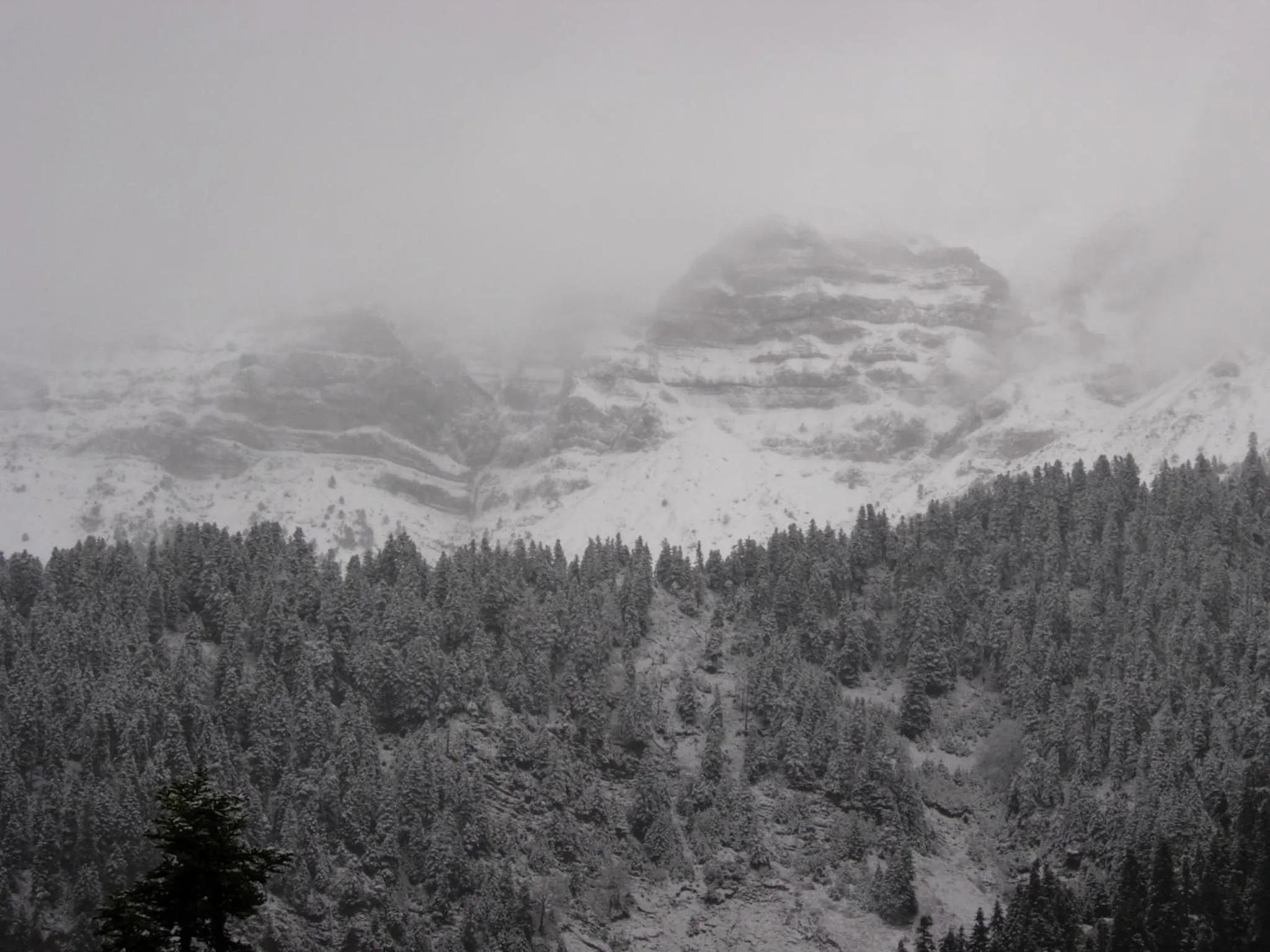 Winter in Xenonas Kypseli