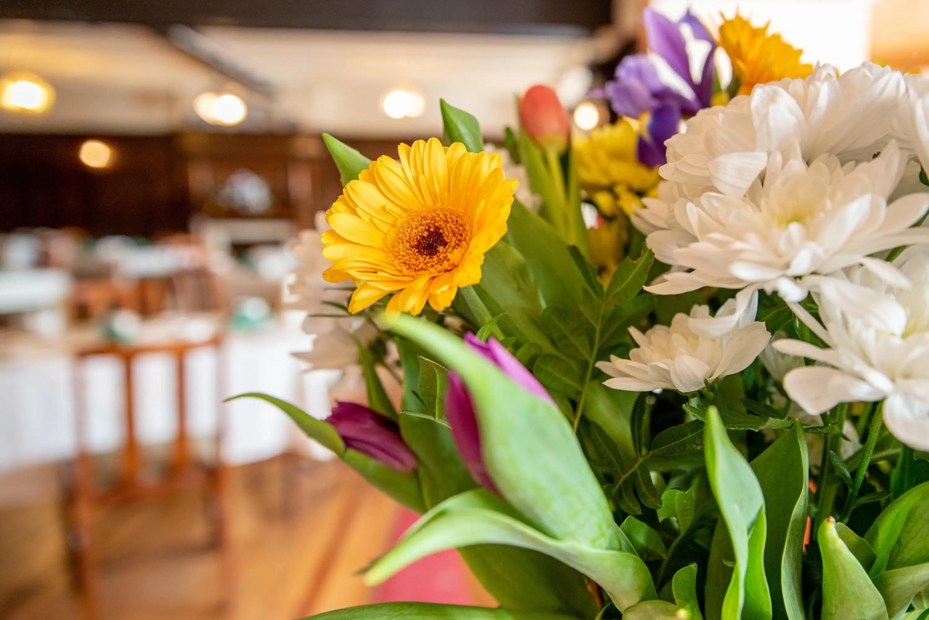 Restaurant/places to eat in The Headlands