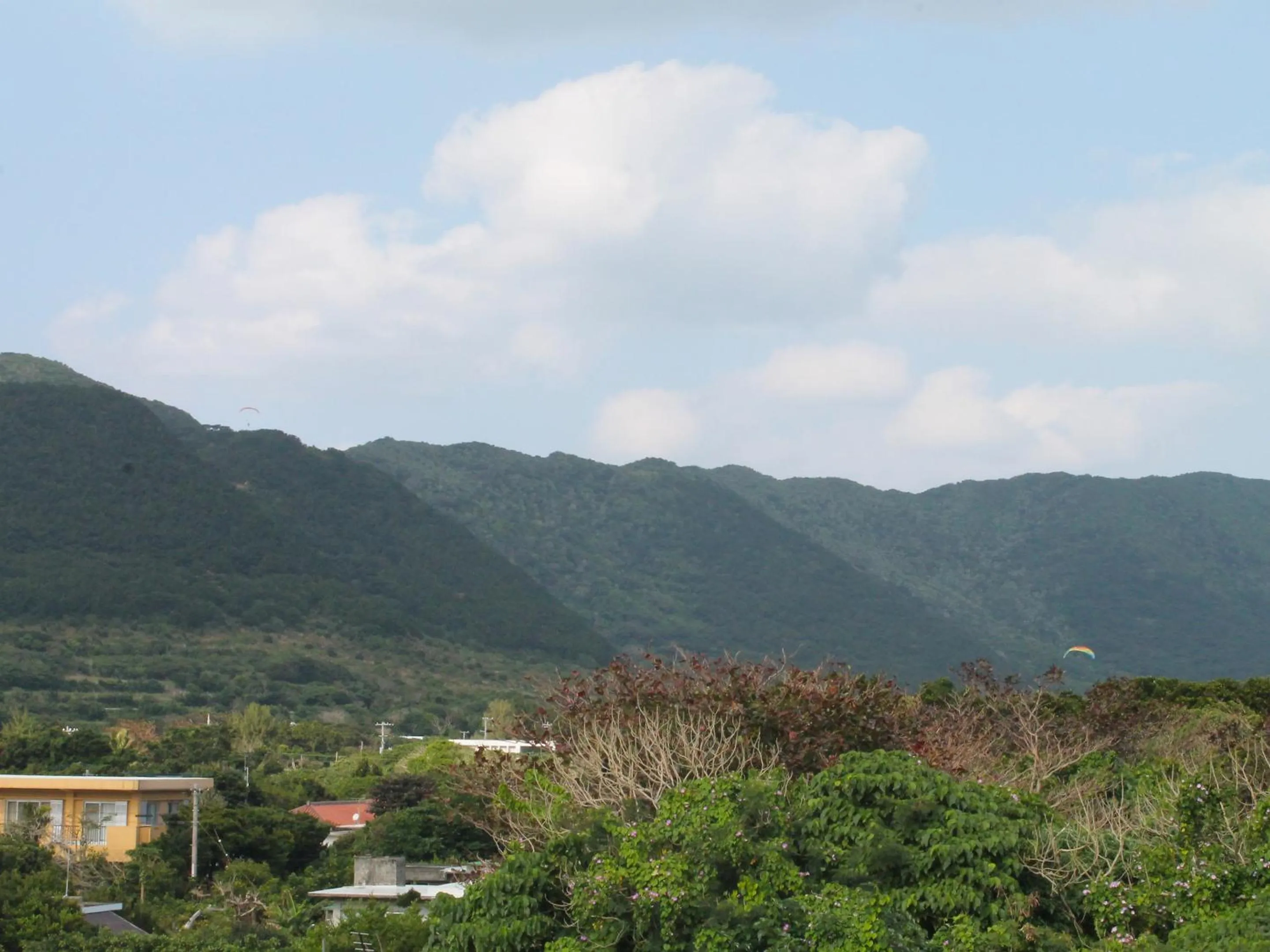 Natural landscape in Pine Shima Resort Coral Fish