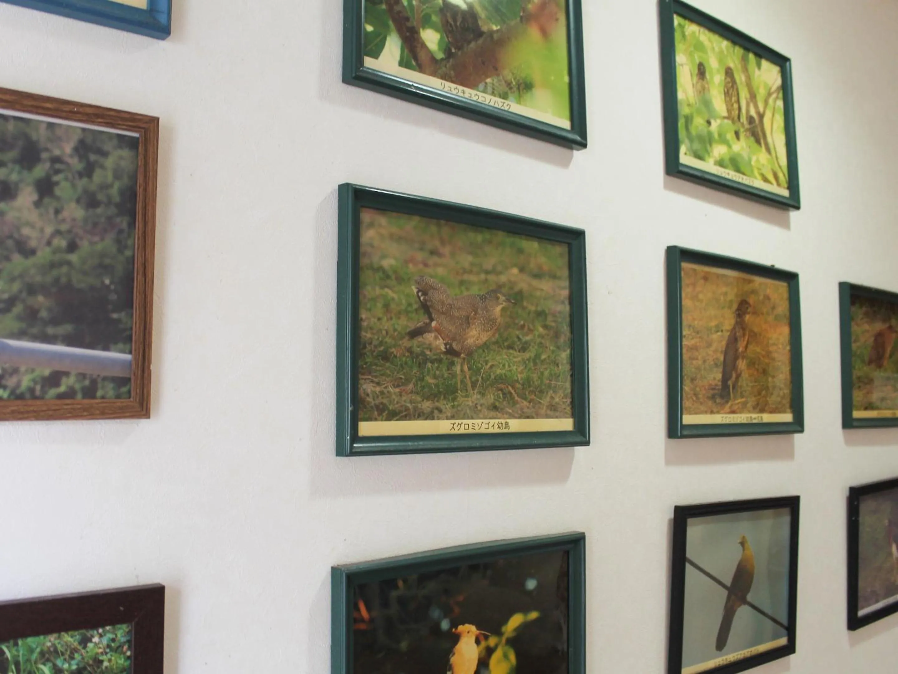 Decorative detail in Pine Shima Resort Coral Fish