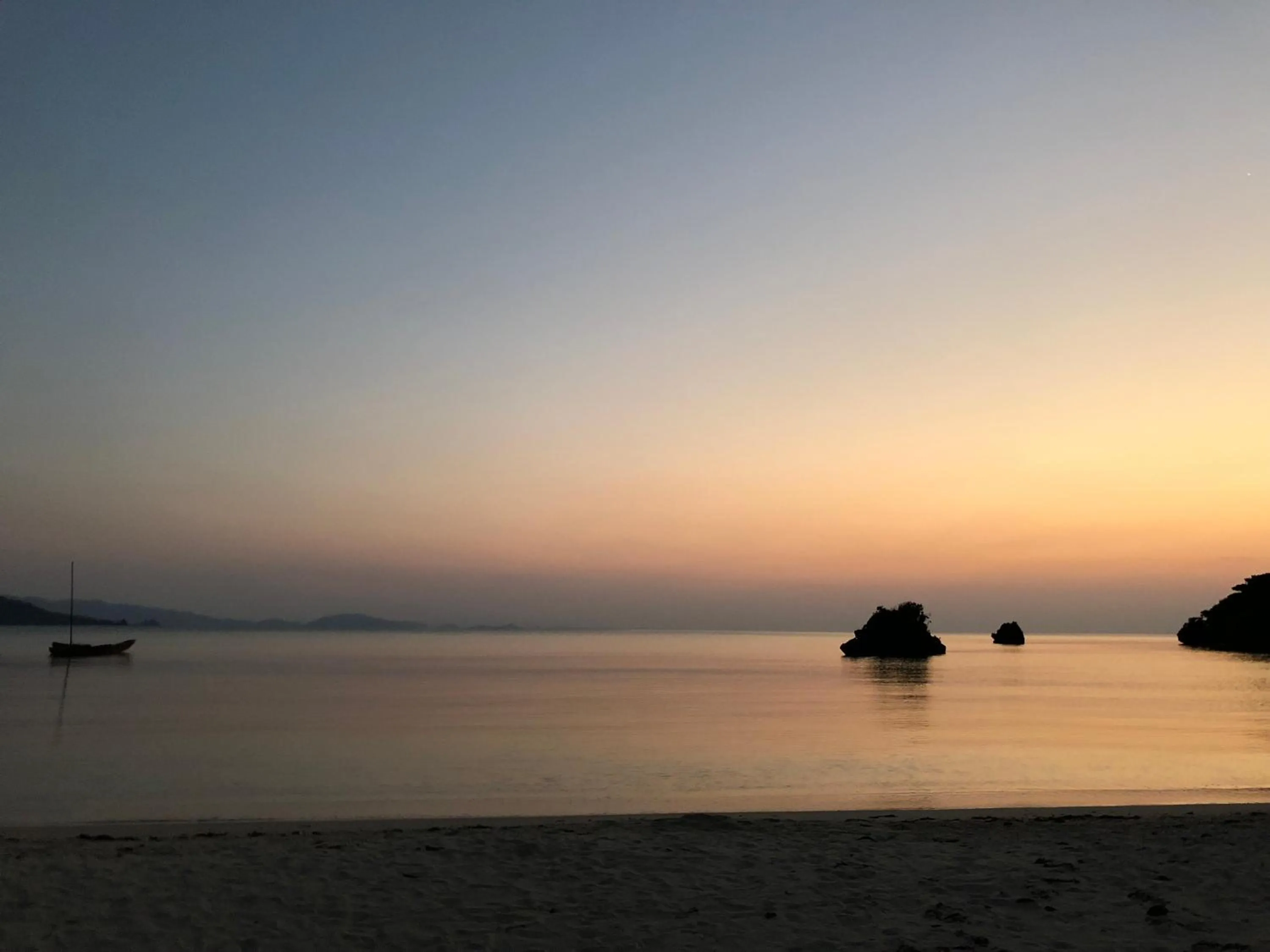 Pine Shima Resort Coral Fish