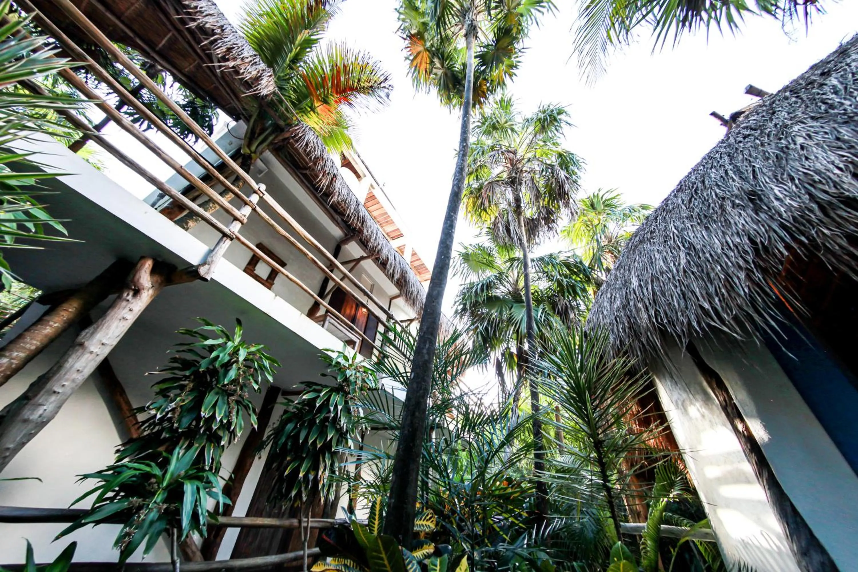 Property building in Hotel Cormoran Tulum & Cenote