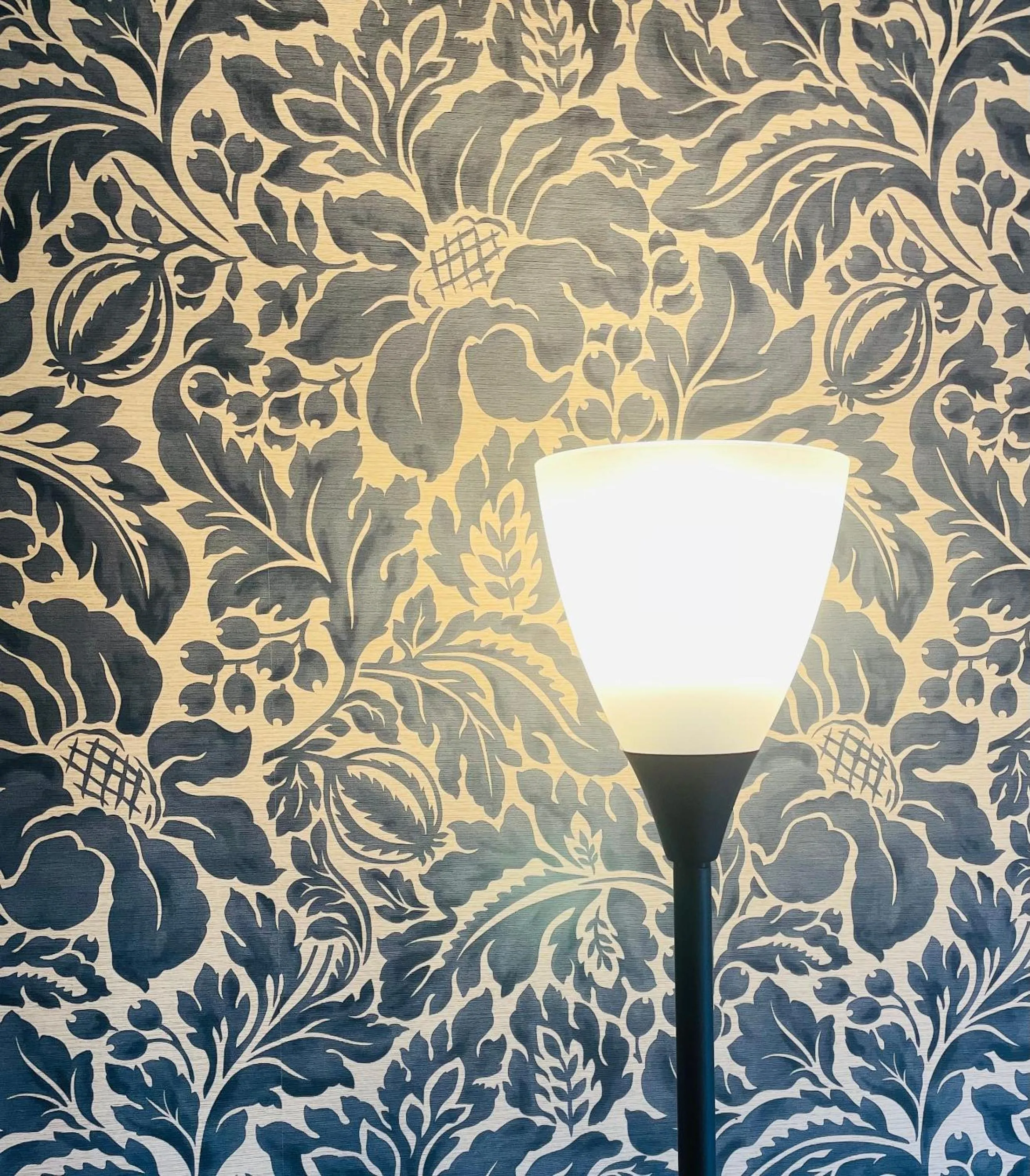 Photo of the whole room in Kyoto Sanjo Ohashi