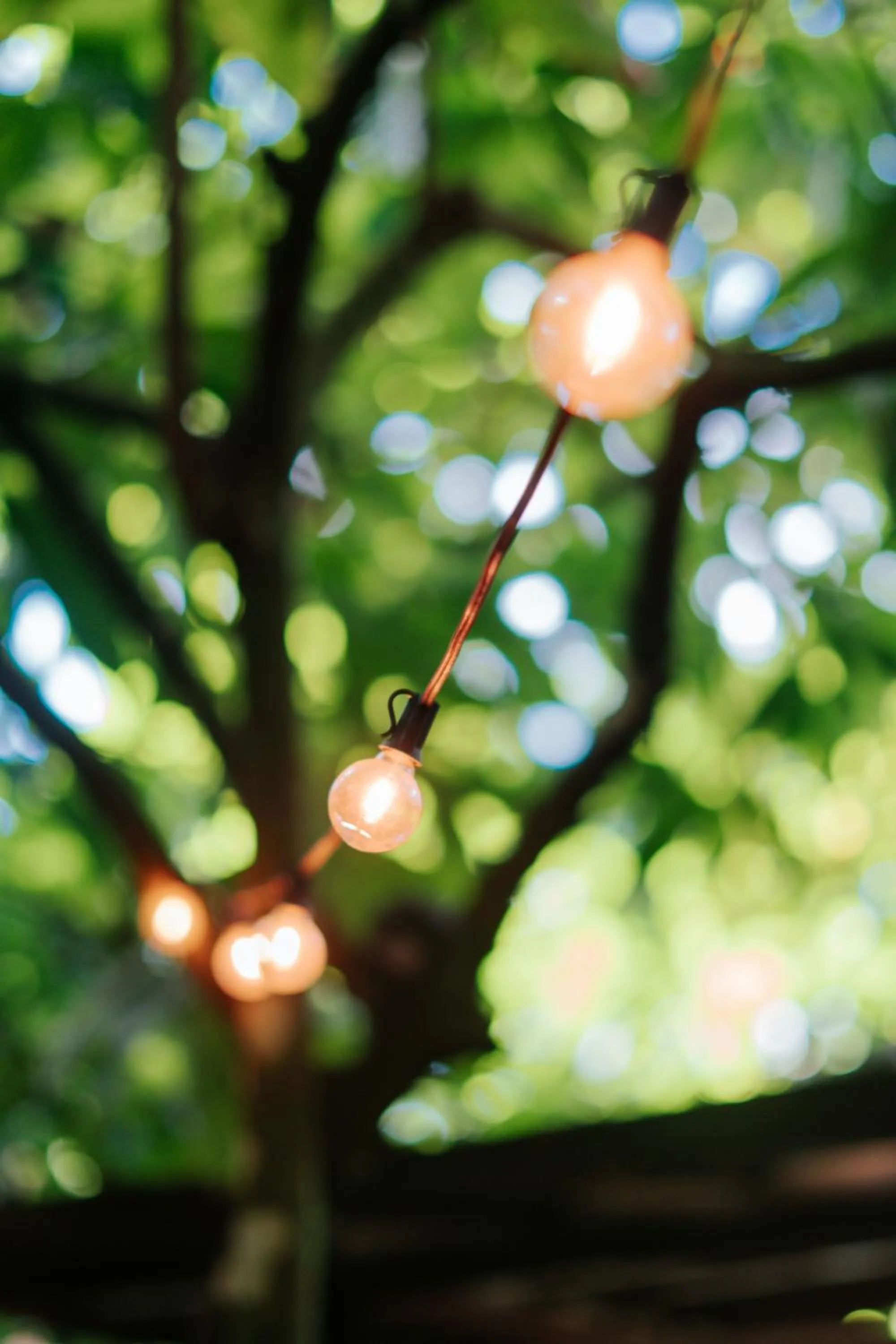 Garden in Pousada Fruta Pão