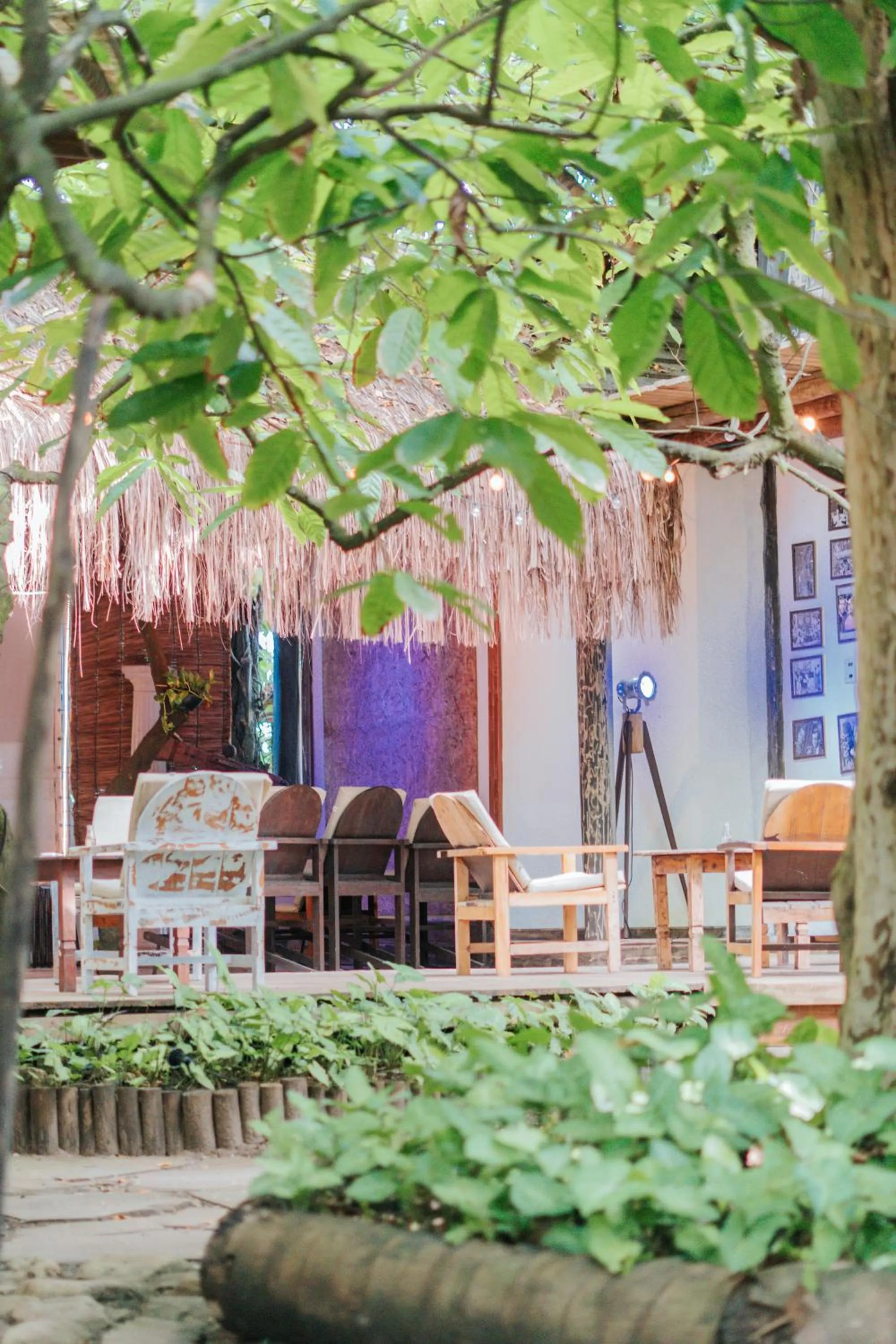 Garden view in Pousada Fruta Pão