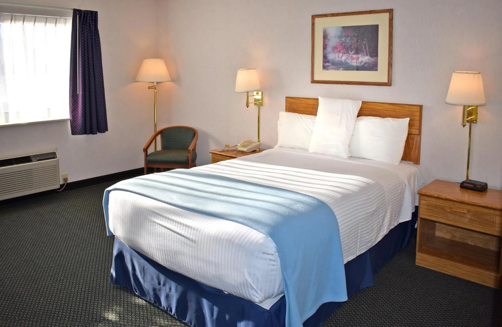 Bed in Americas Best Value Inn & Suites - Tahquamenon Country
