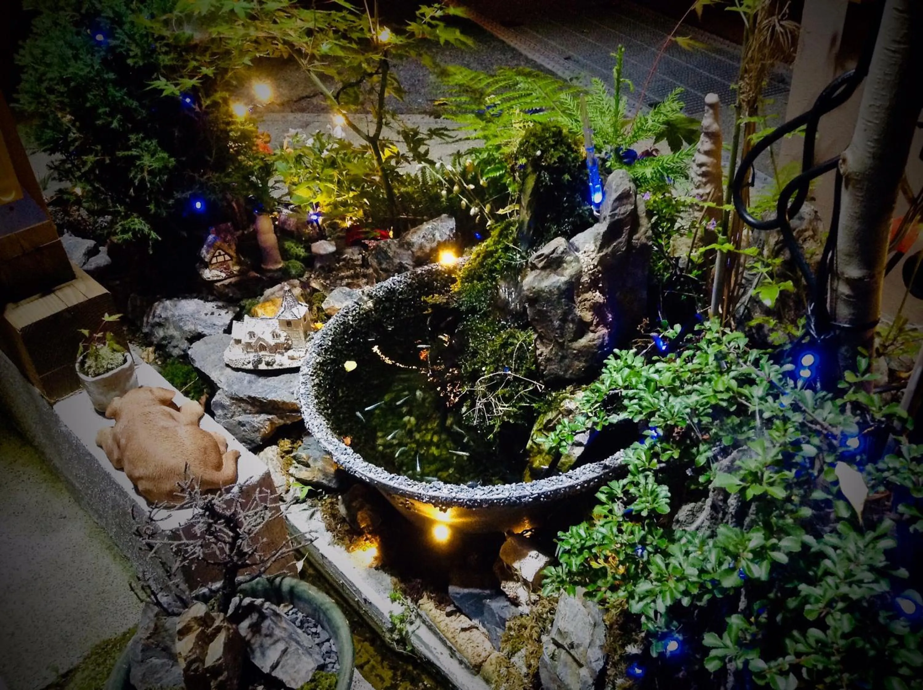 Patio in Koke Musu inn