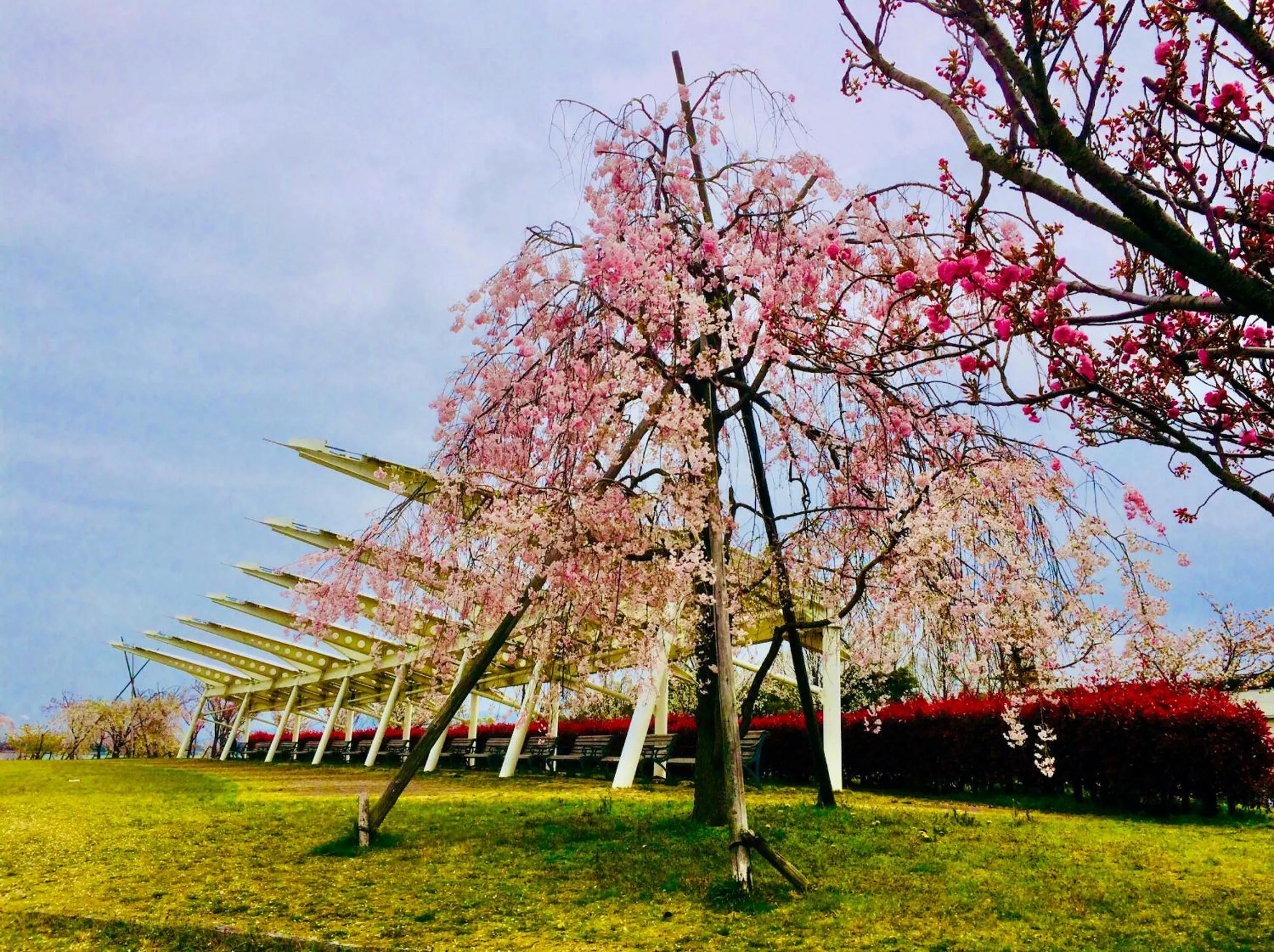 Off site in Koke Musu inn