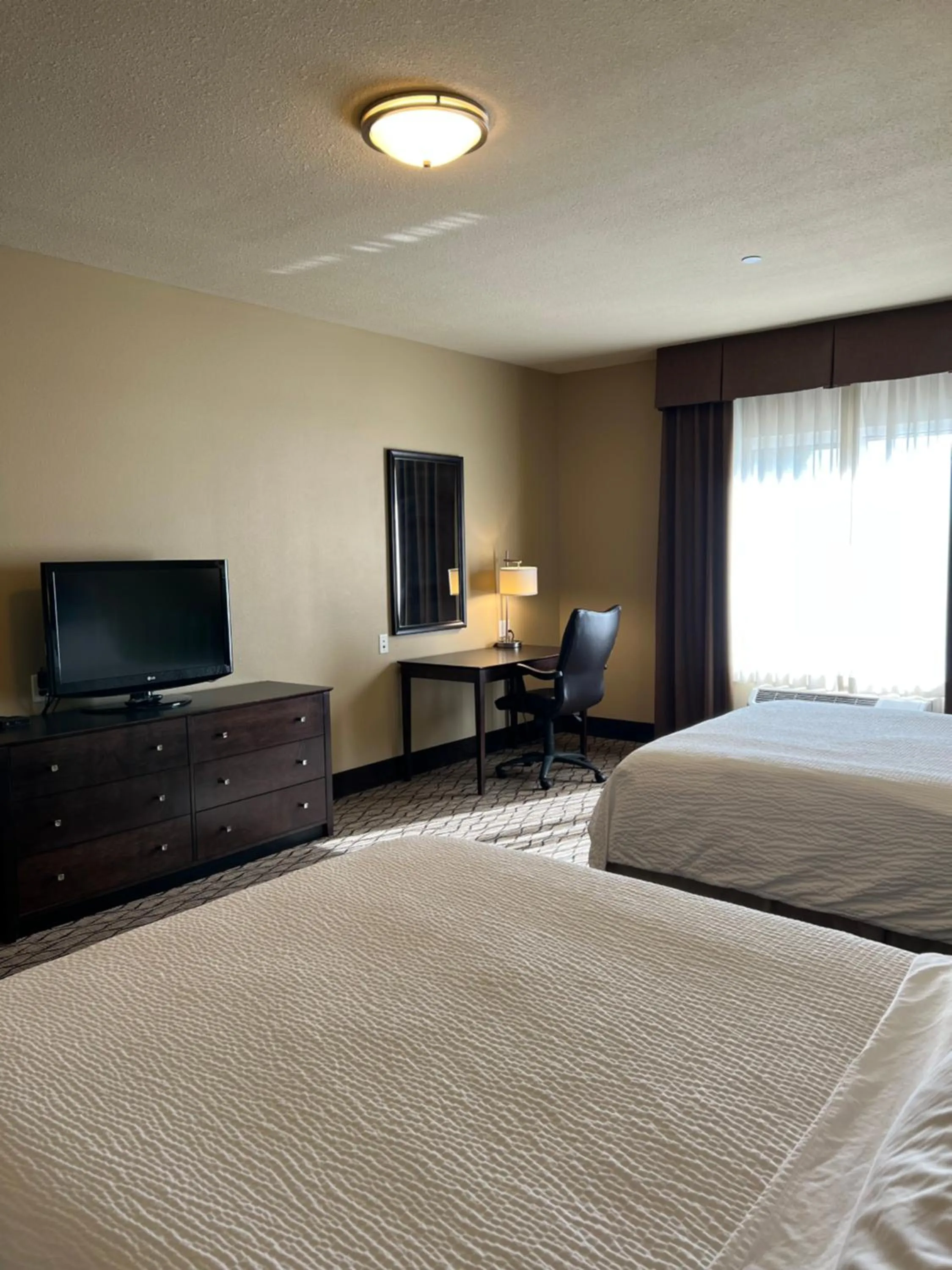 Bed in Holiday Inn Express & Suites - Williston by IHG