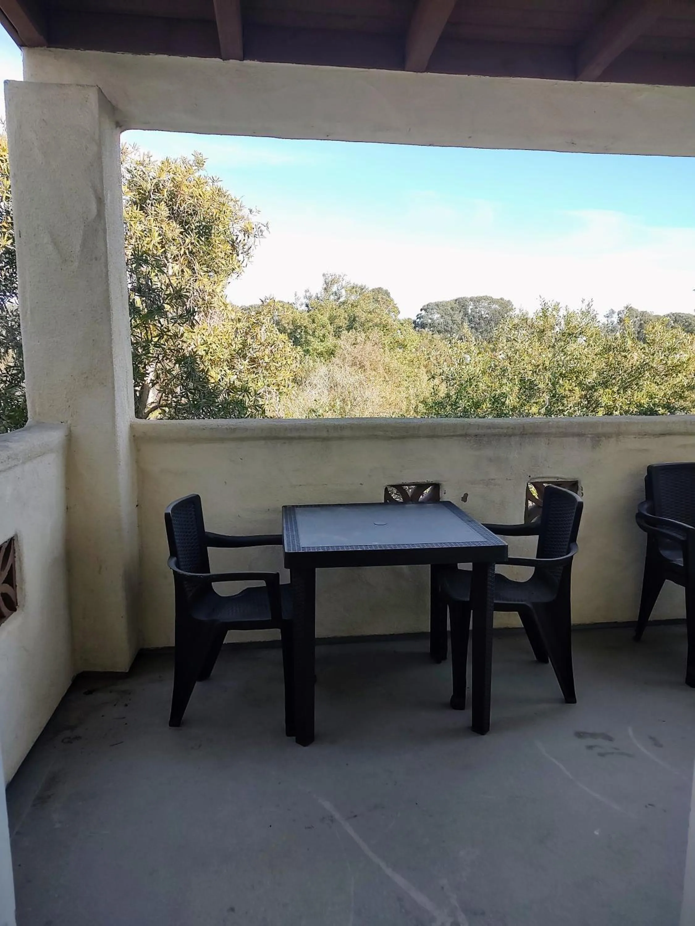 View (from property/room) in Pacific Plaza Resort