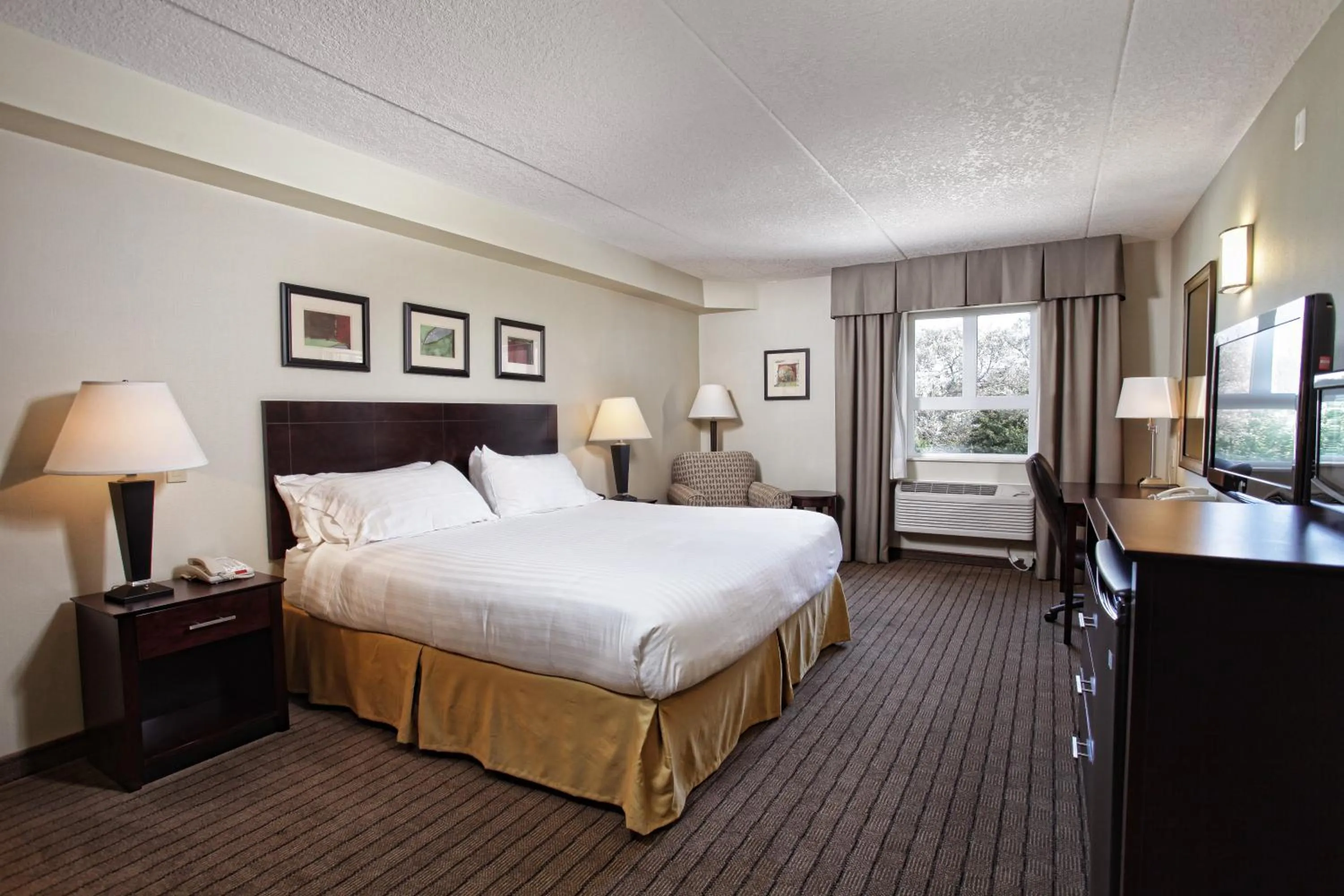 Photo of the whole room in Comfort Inn & Suites