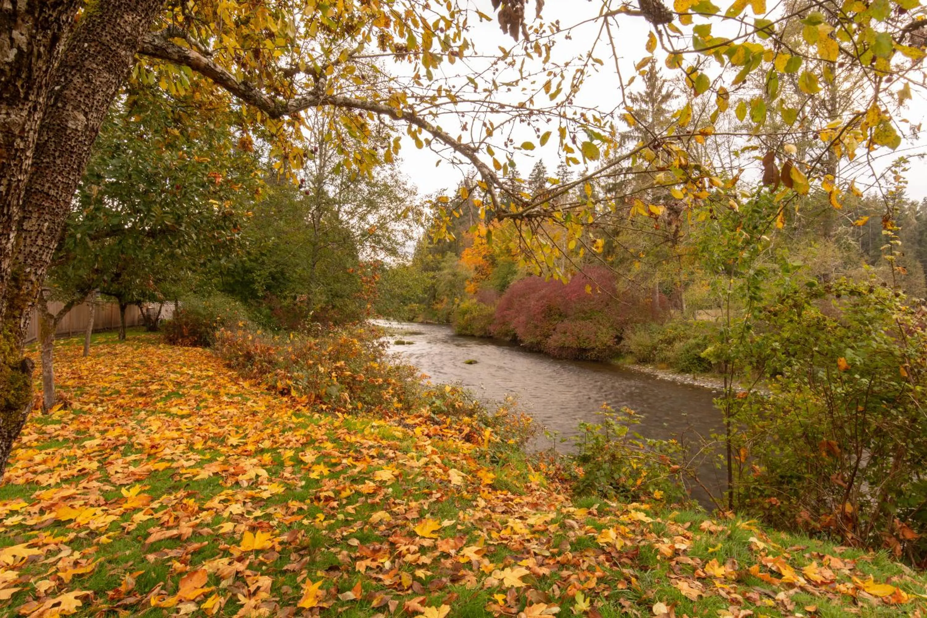 Day in Riverside Resort & RV Park