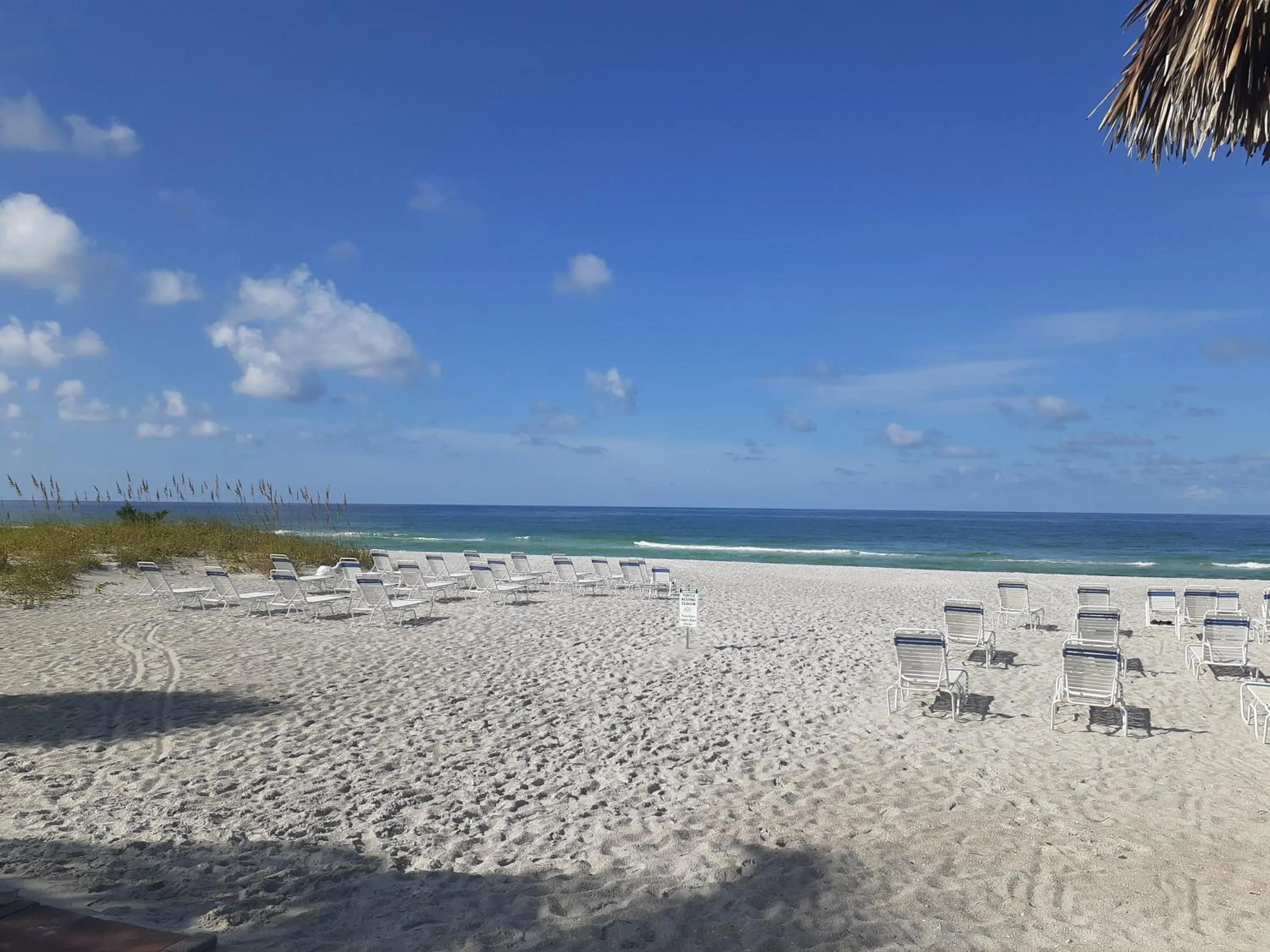 Beach in Turtle Crawl Inn - Longboat Key