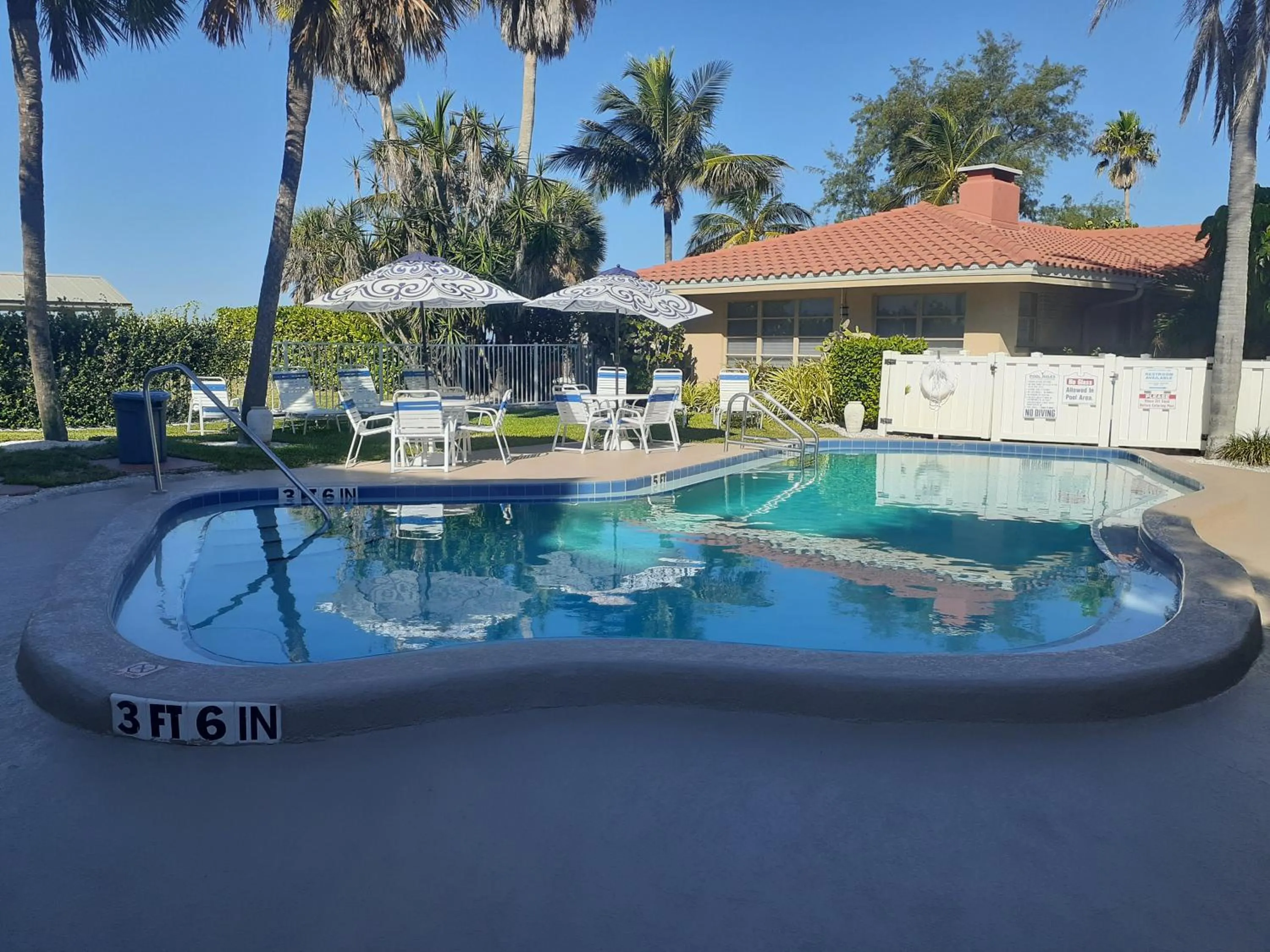 Swimming pool in Turtle Crawl Inn - Longboat Key