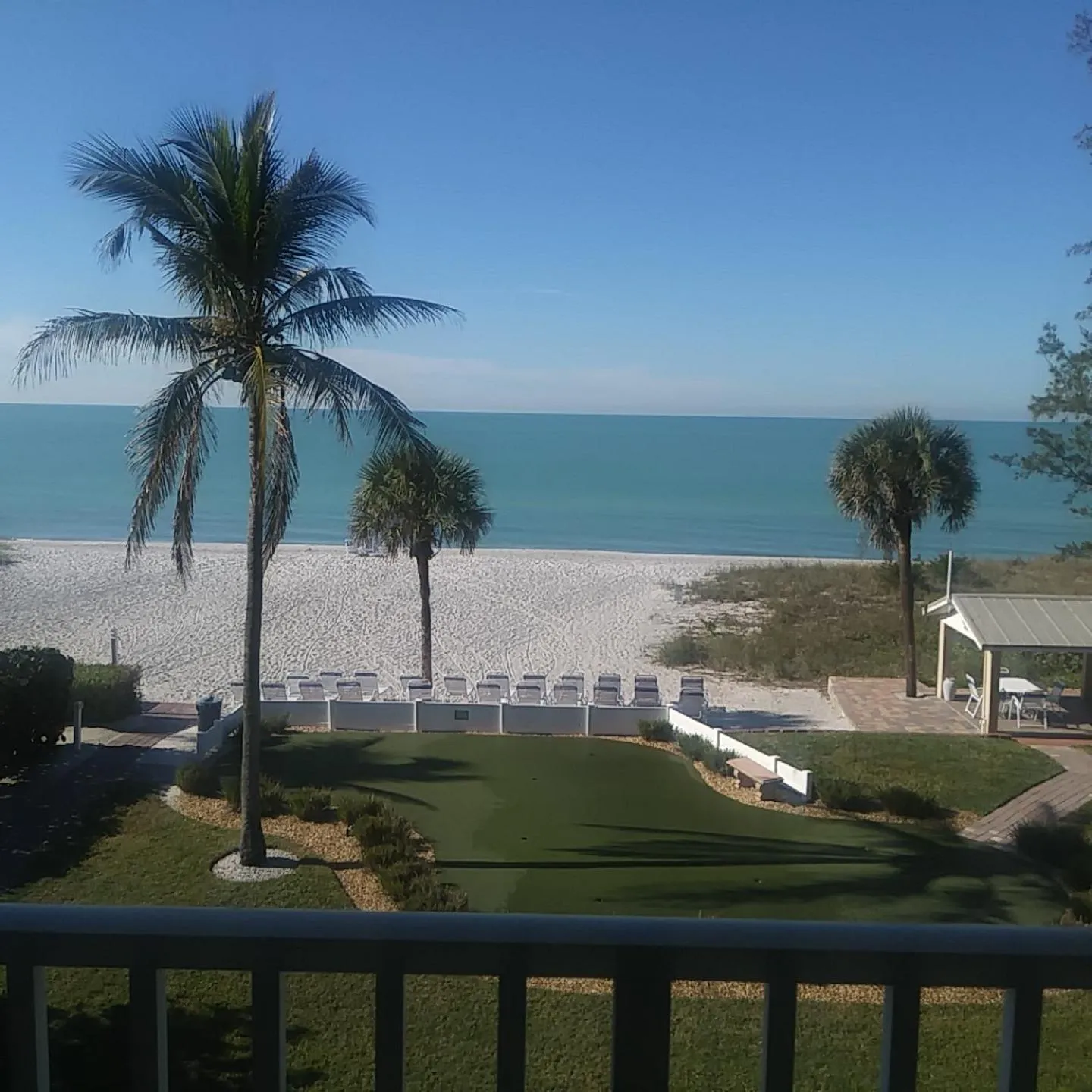 Activities in Turtle Crawl Inn - Longboat Key