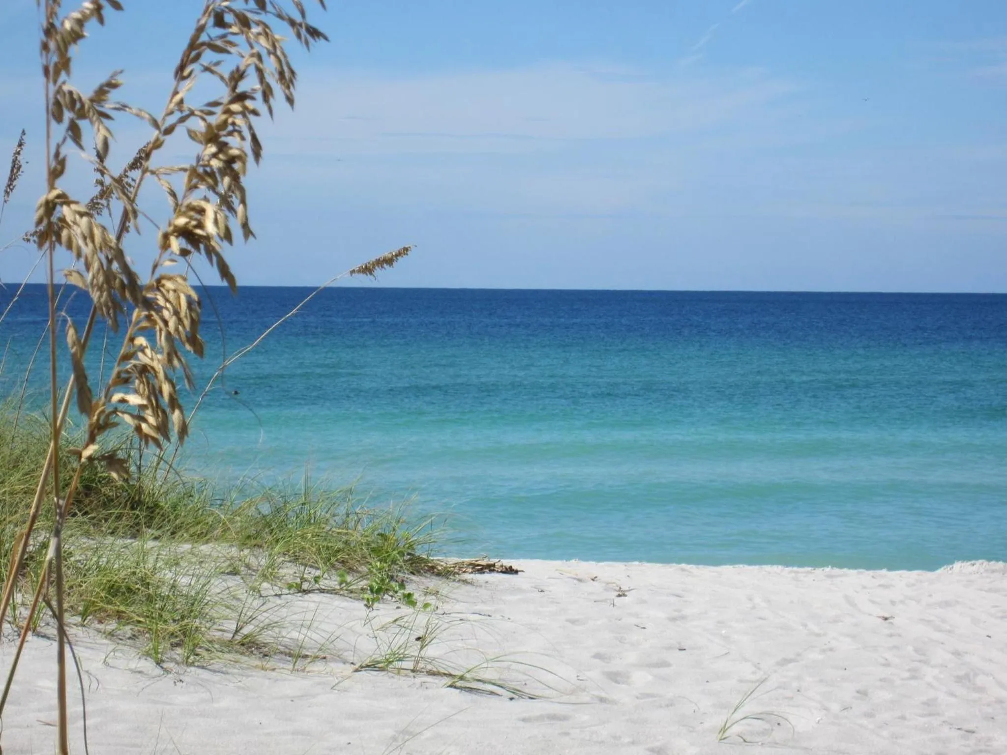 Natural landscape in Turtle Crawl Inn - Longboat Key