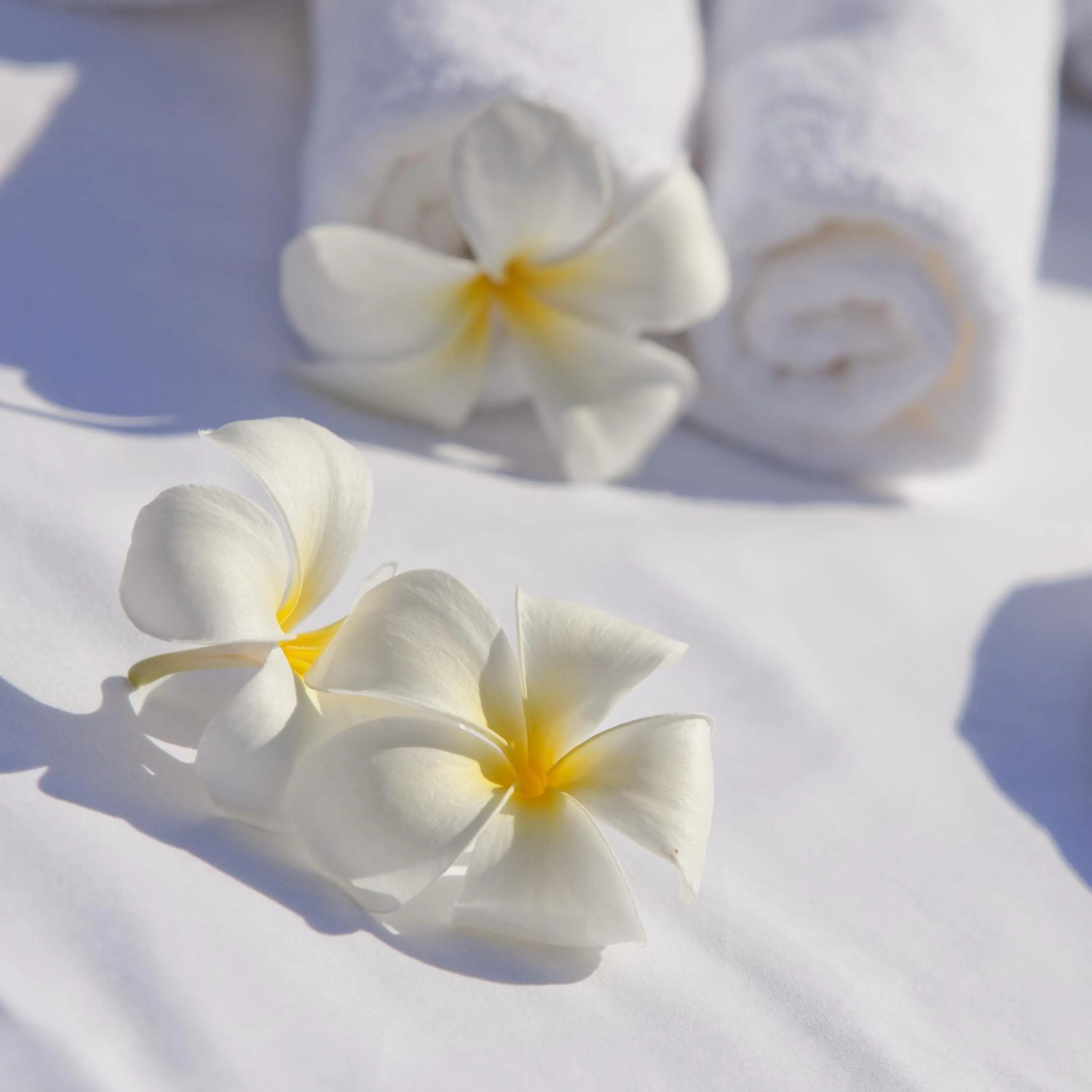 Spa and wellness centre/facilities in 5-Star Boutique Hotel The Lombok Lodge