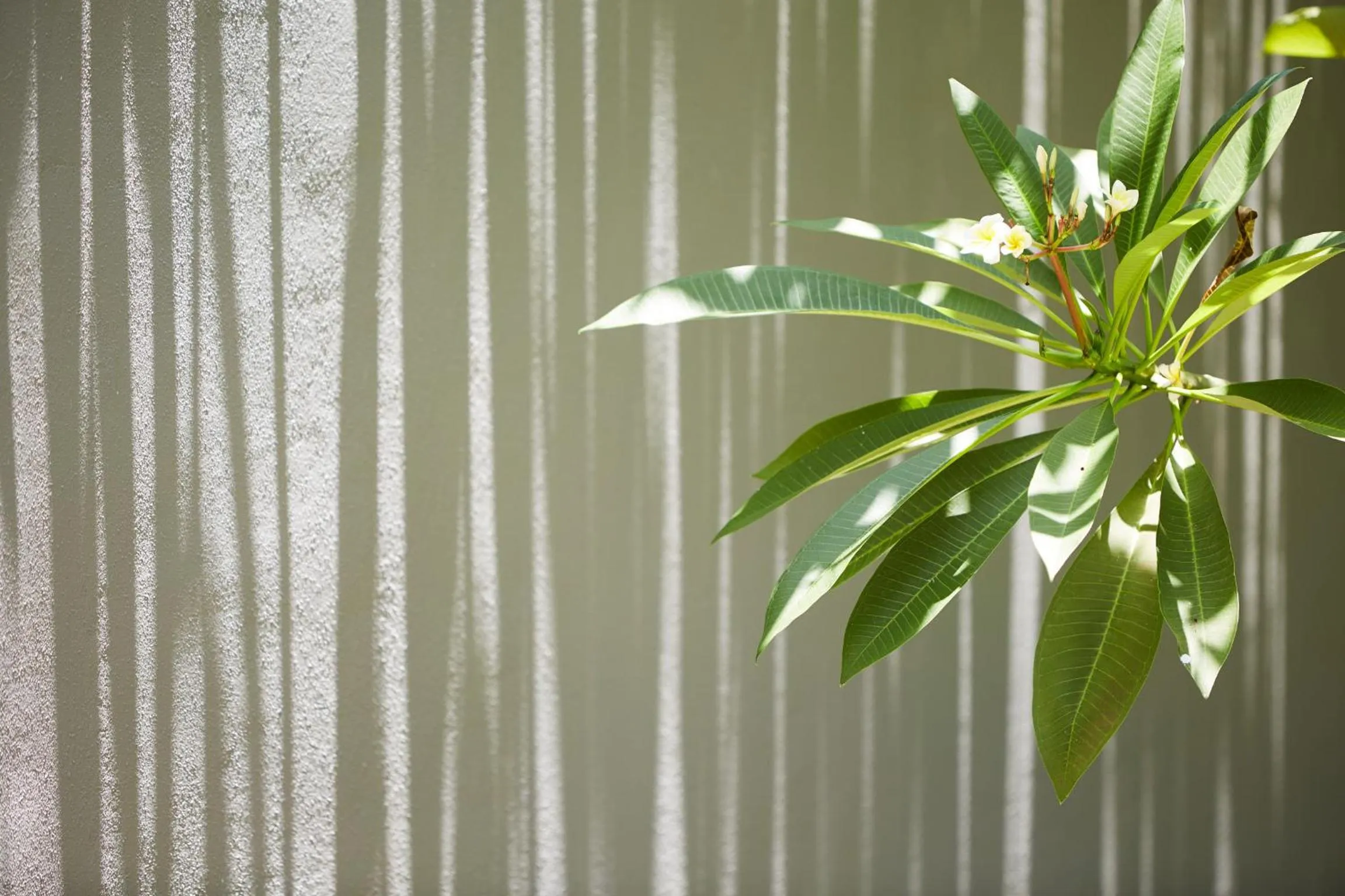 Balcony/Terrace in 5-Star Boutique Hotel The Lombok Lodge