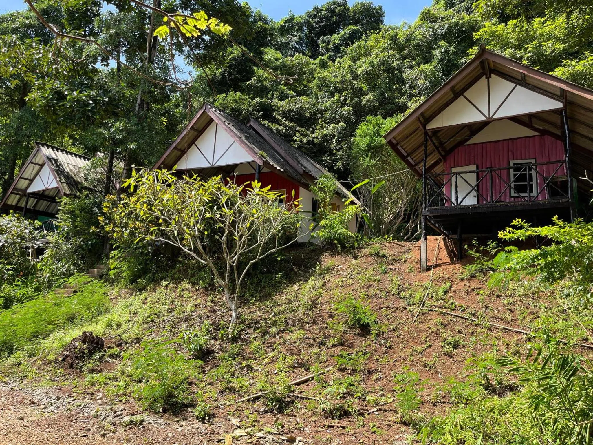 Garden view in AoPong Resort