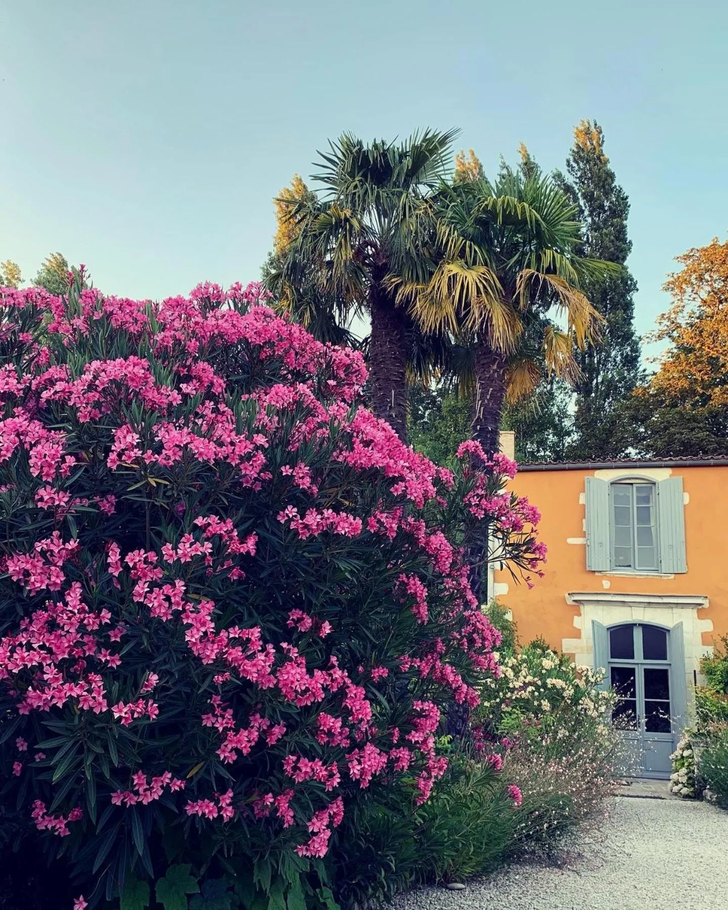 Chambres d'hôtes La Borderie du Gô près de La Rochelle - Nieul